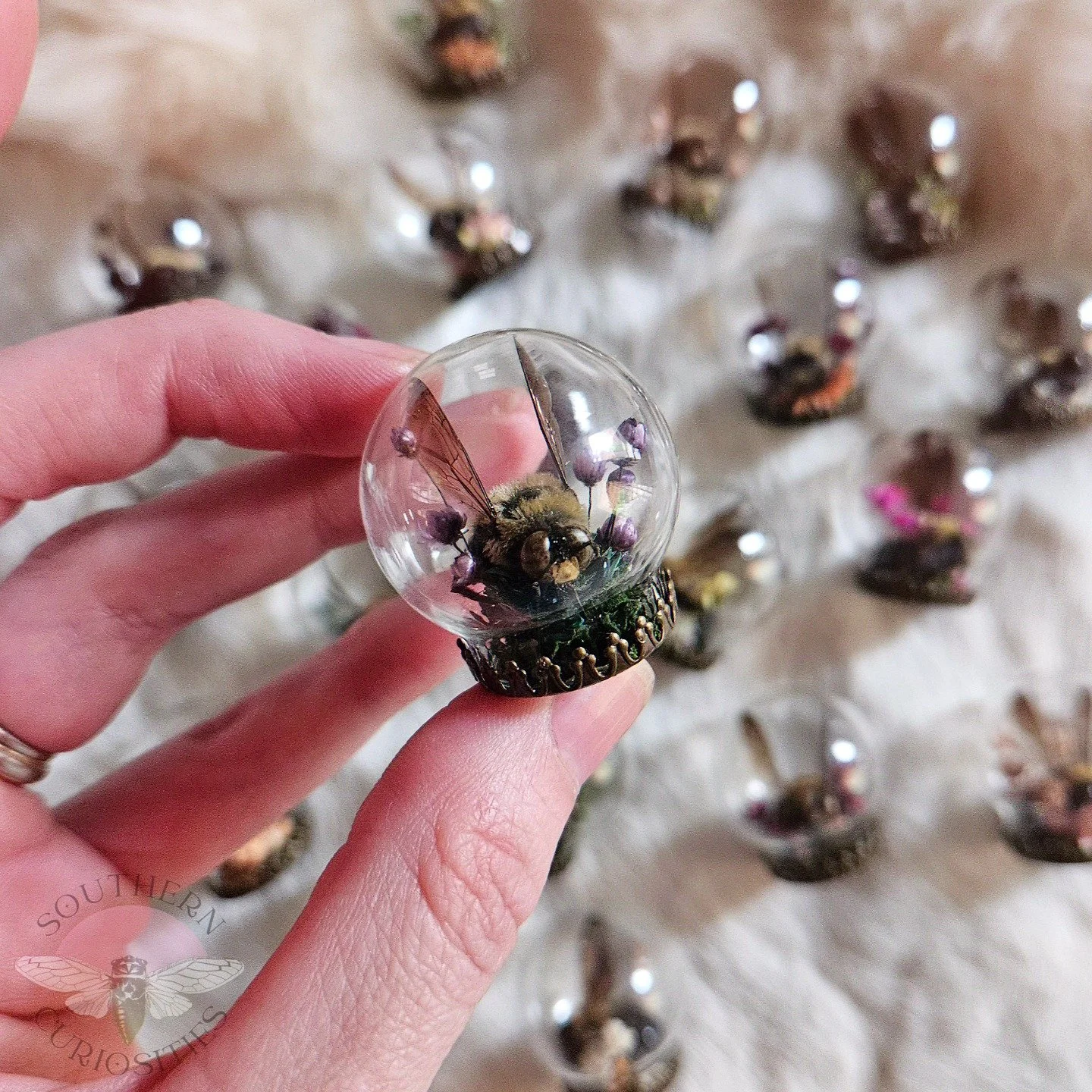 bees2.jpg