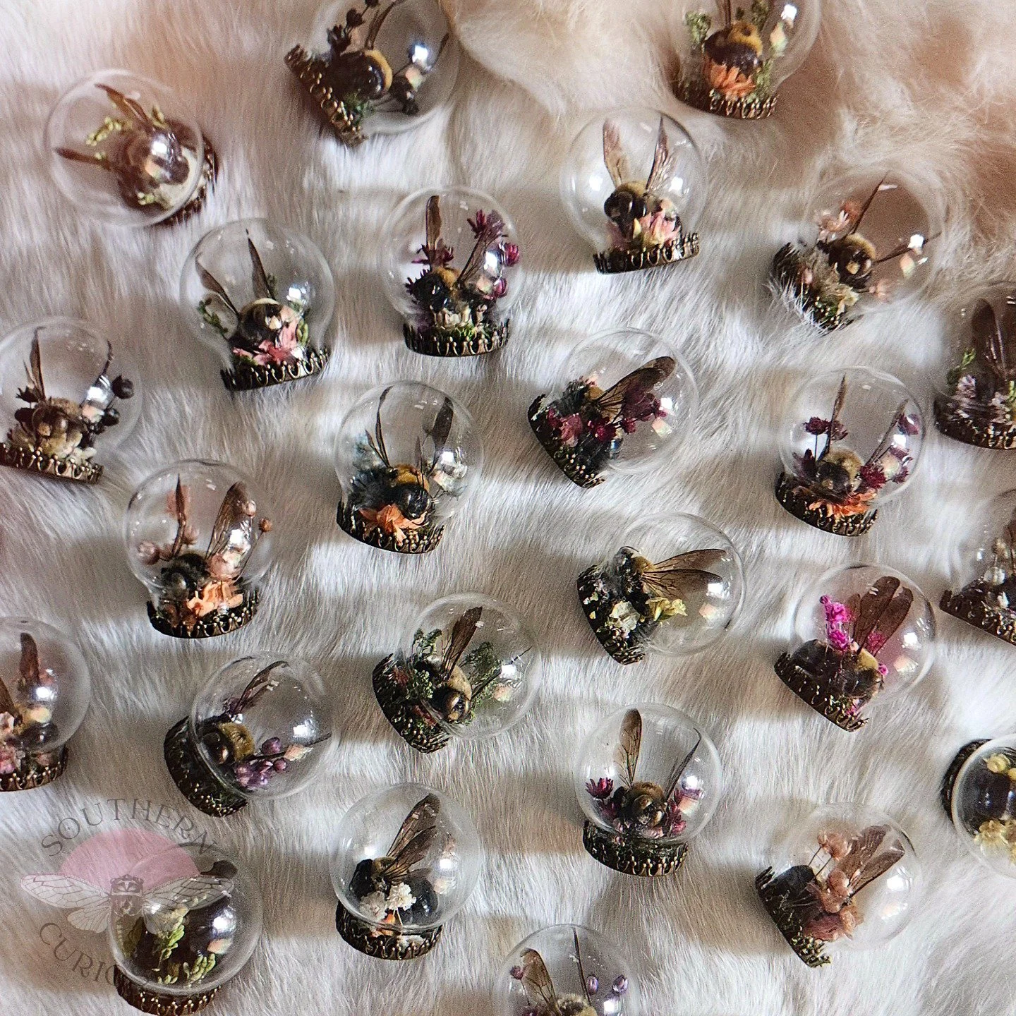 bees1.jpg
