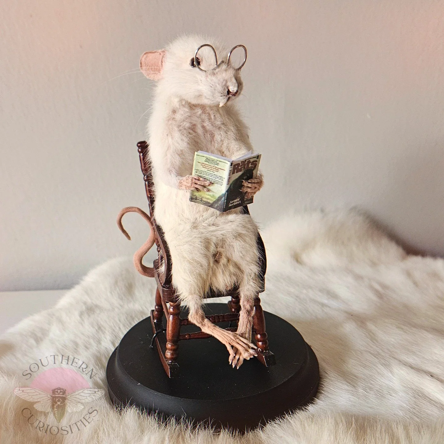 rat2.jpg