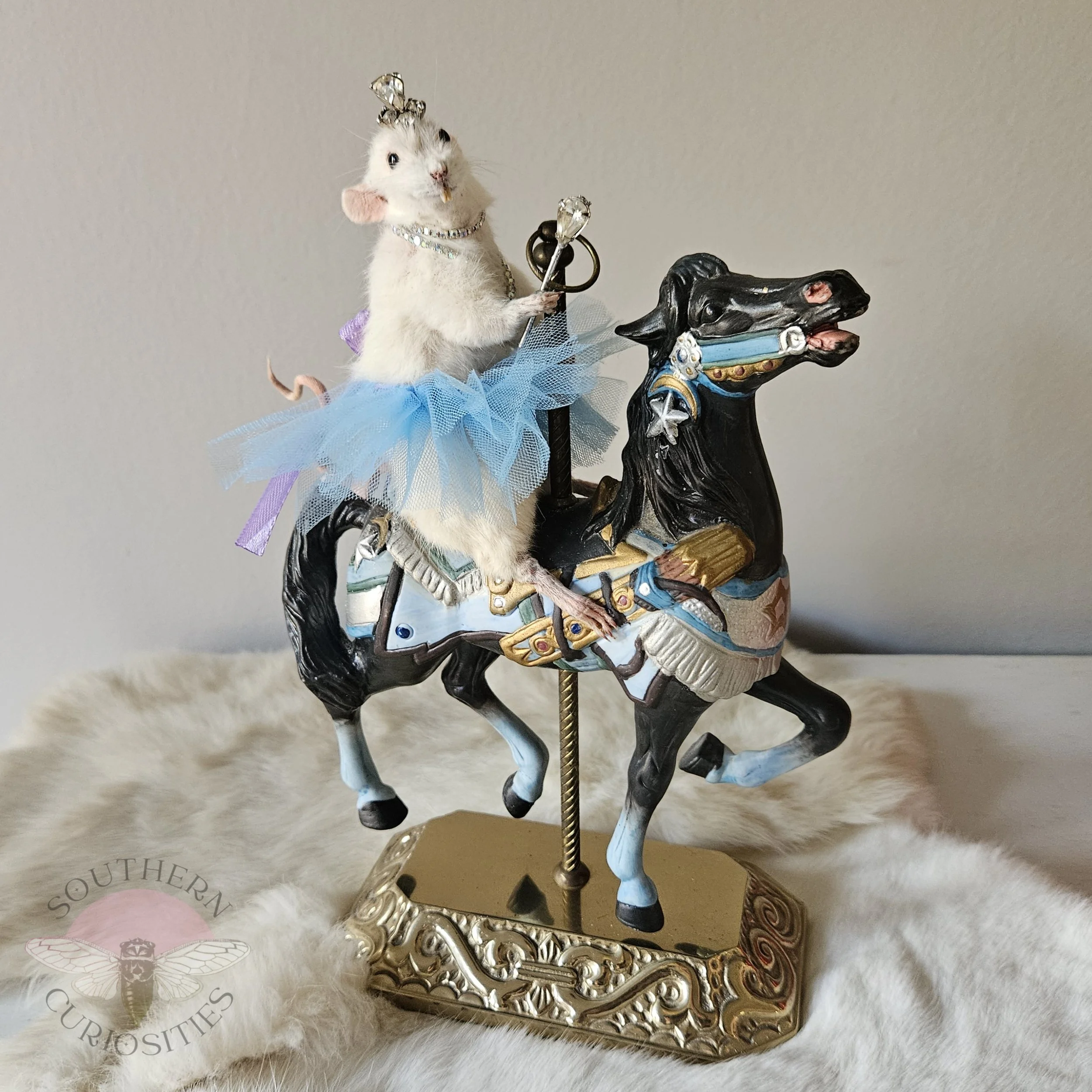20260519_094141.jpg