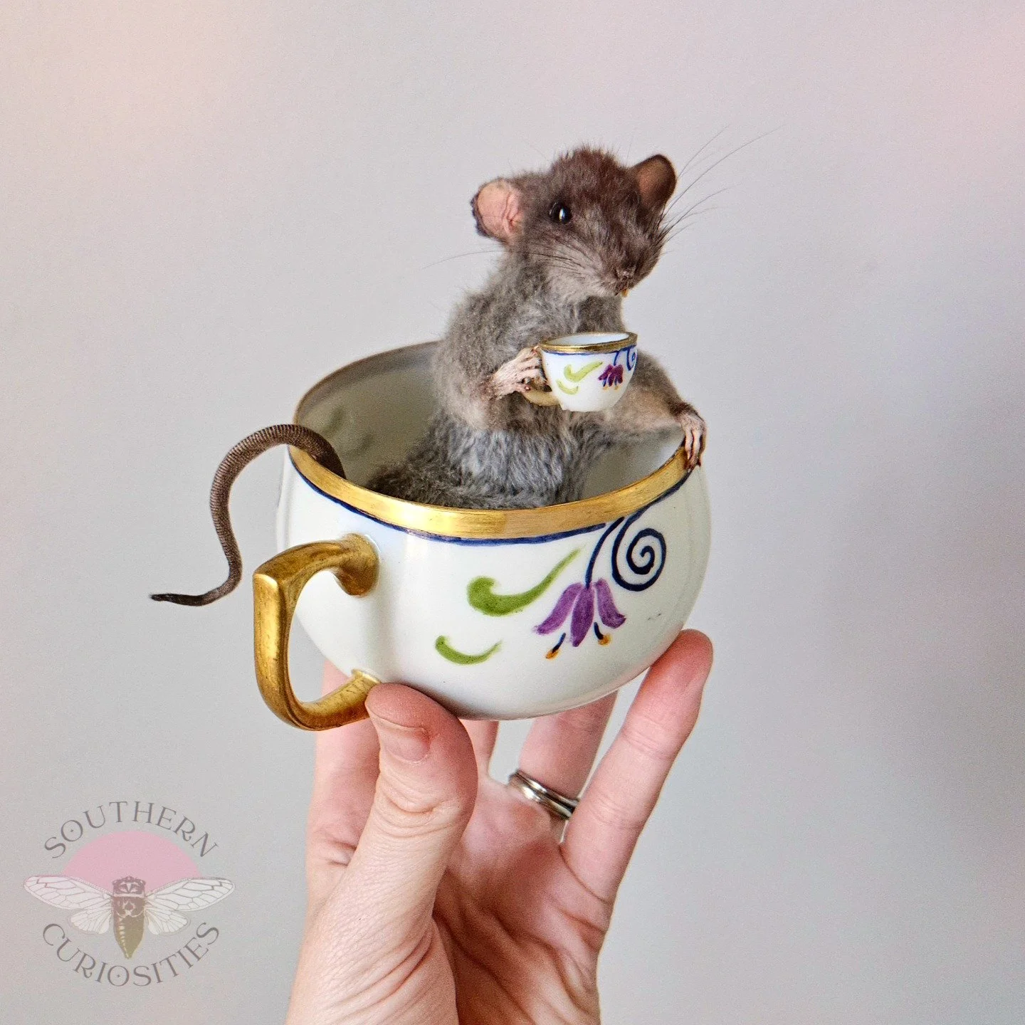 teacup1.jpg