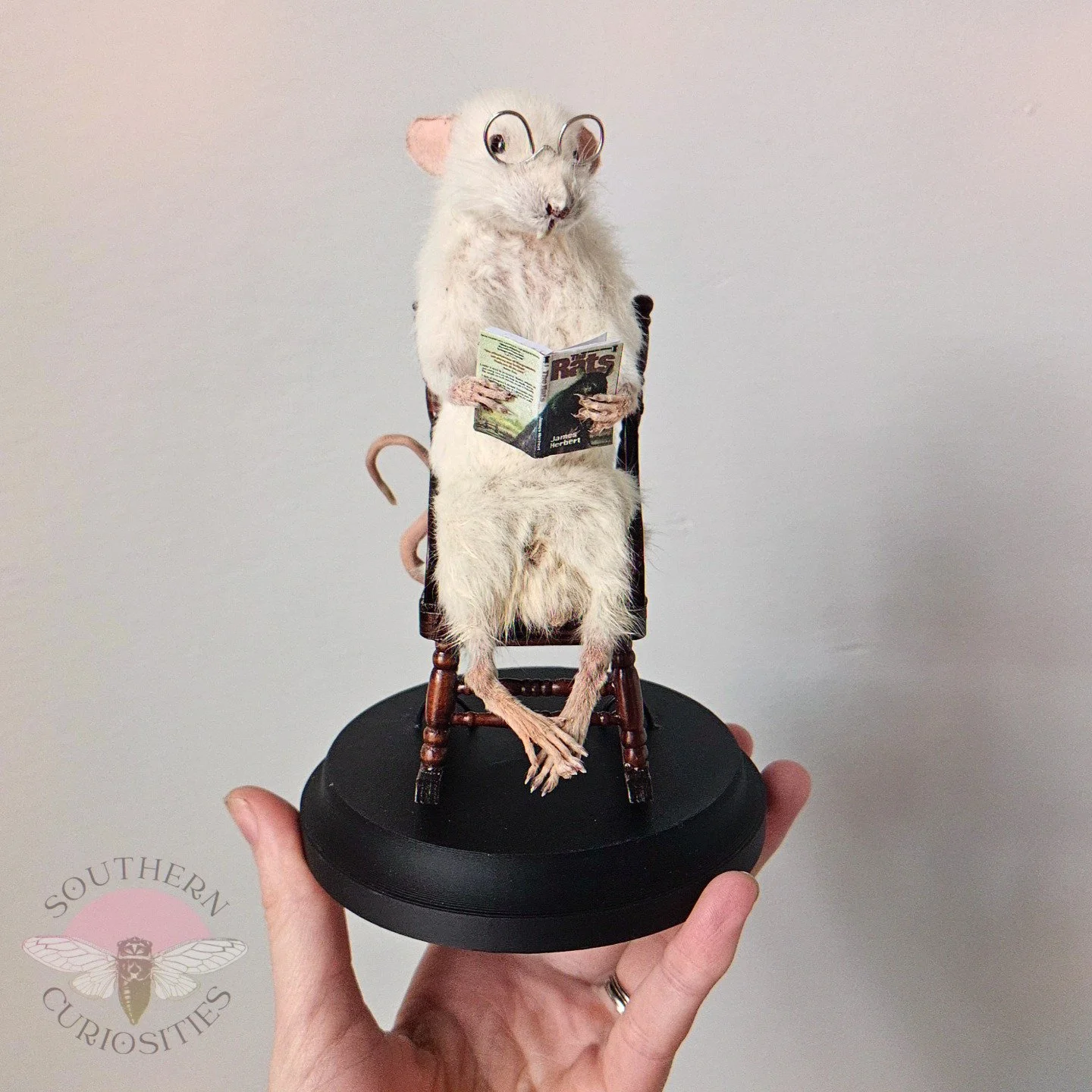 rat1.jpg