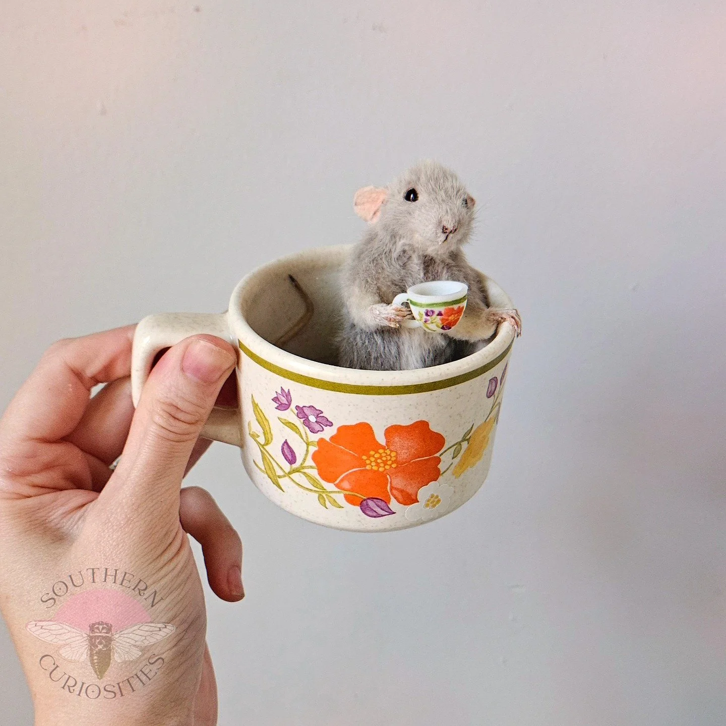 teacuprat2.jpg