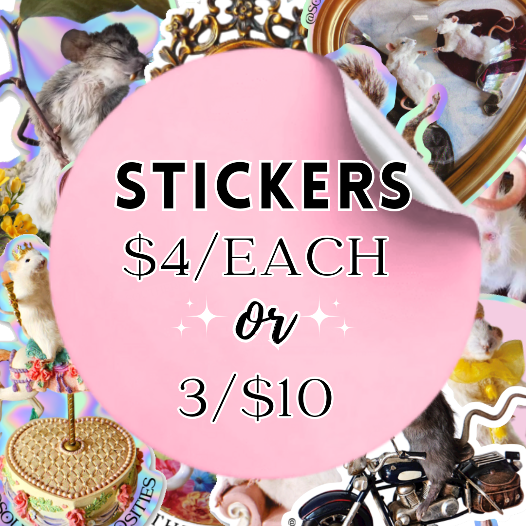 Southern Curiosities Sticker