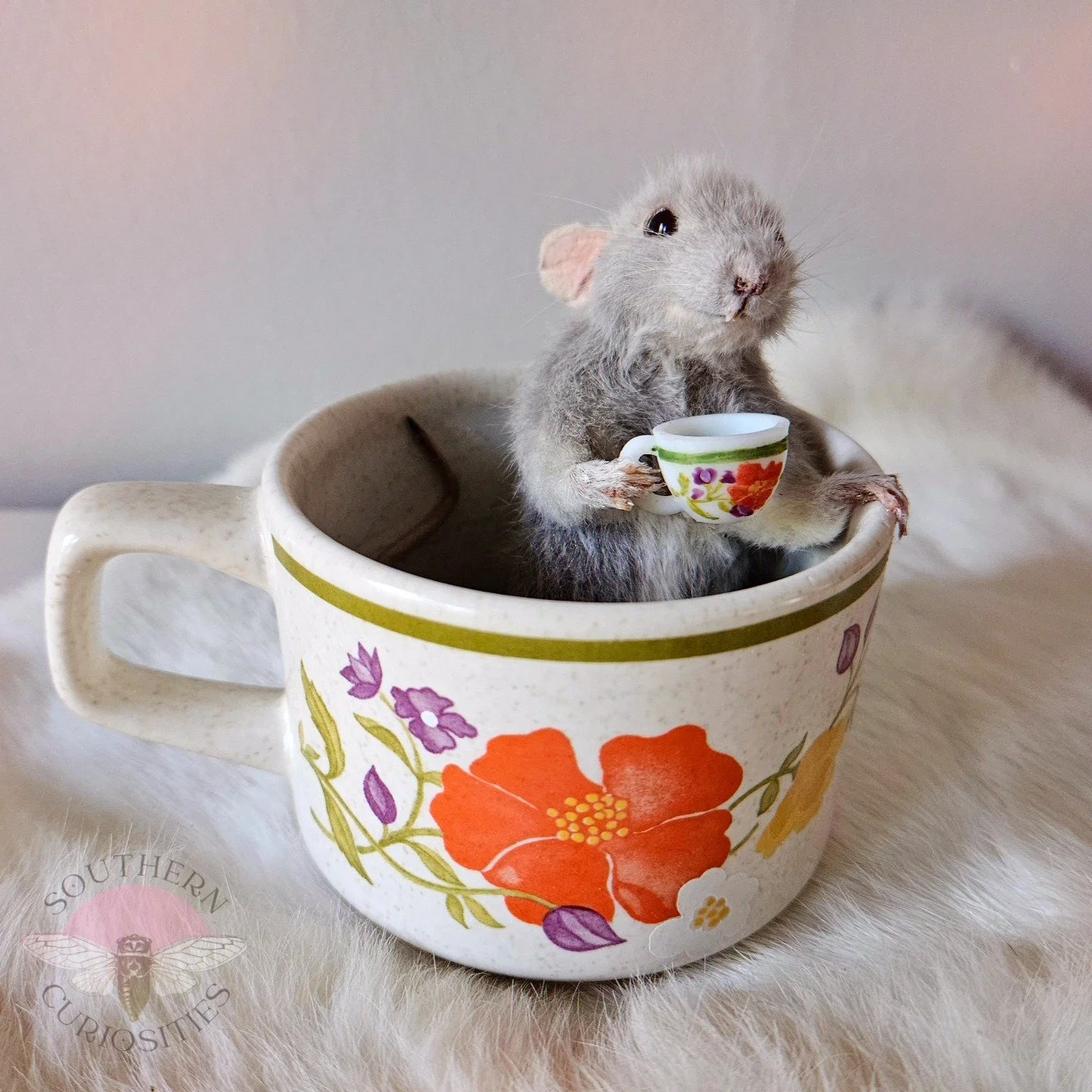 teacuprat1.jpg