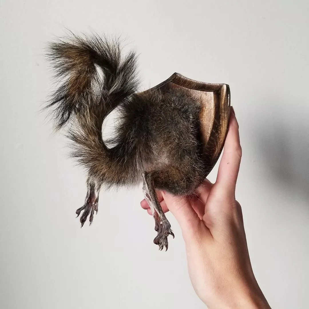 squirrel ass.jpg