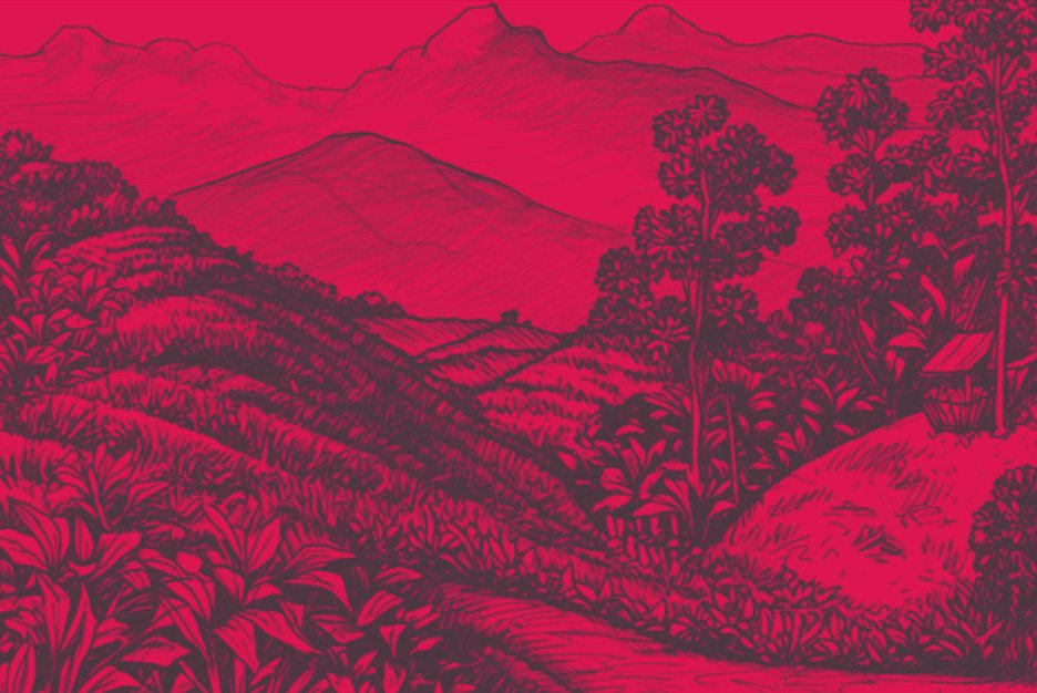 IsabelSanchezdesign_tintico_4.jpg