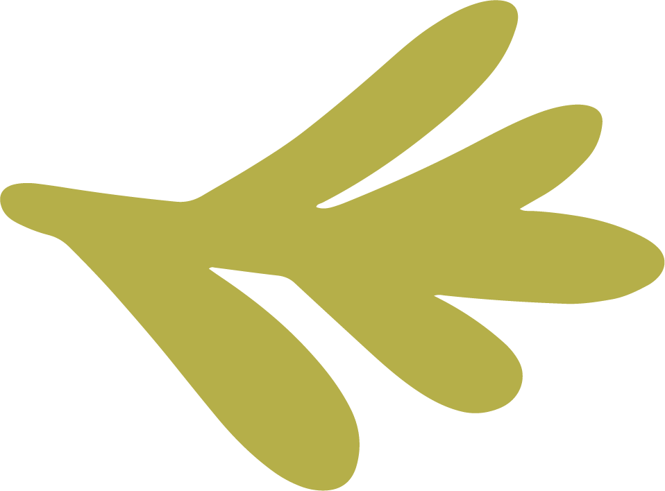 Green leaf silhouette with a unique, stylized shape.