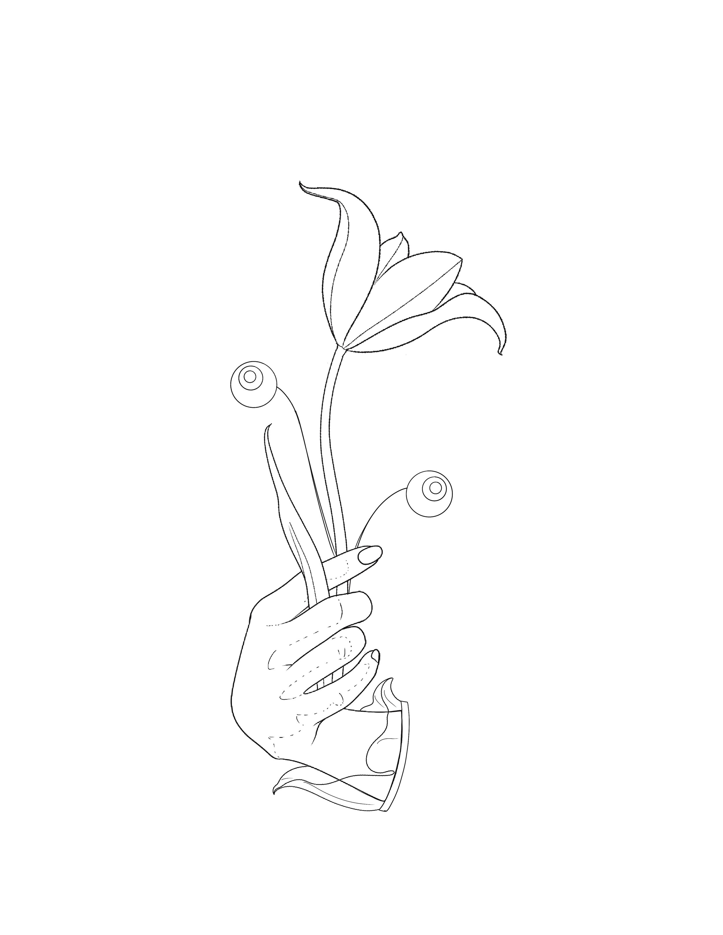 Lily