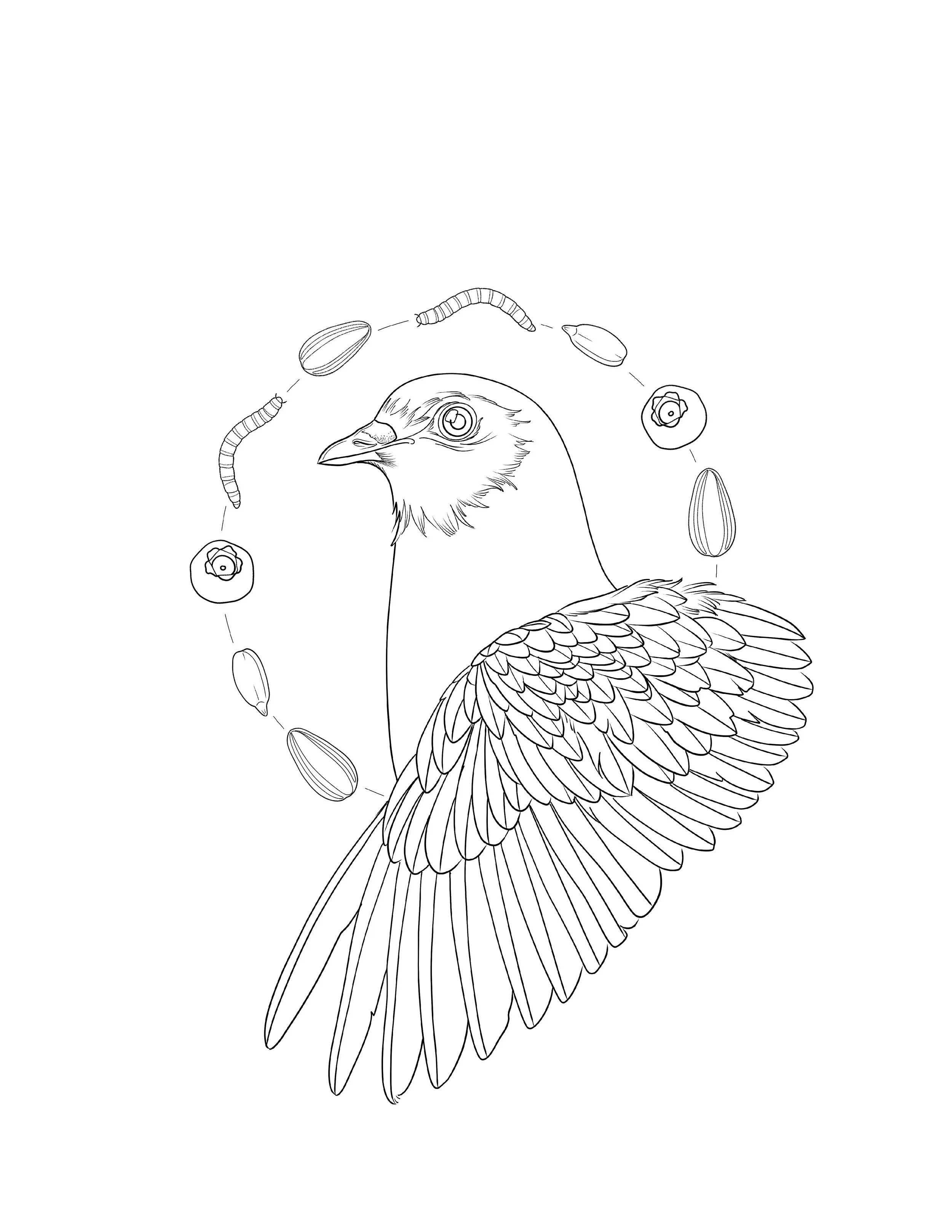 Untitled_Artwork 86.jpg