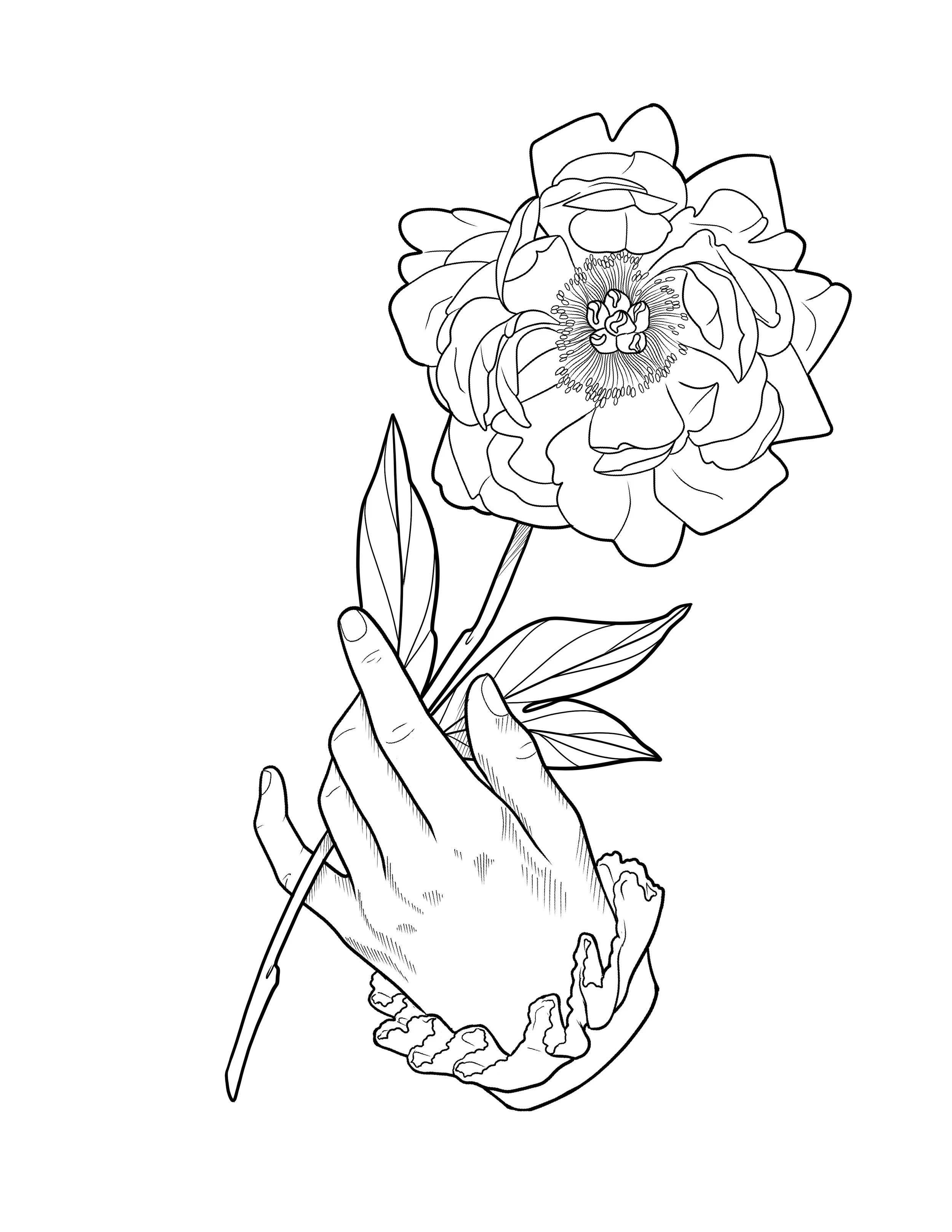 fancy sleeve