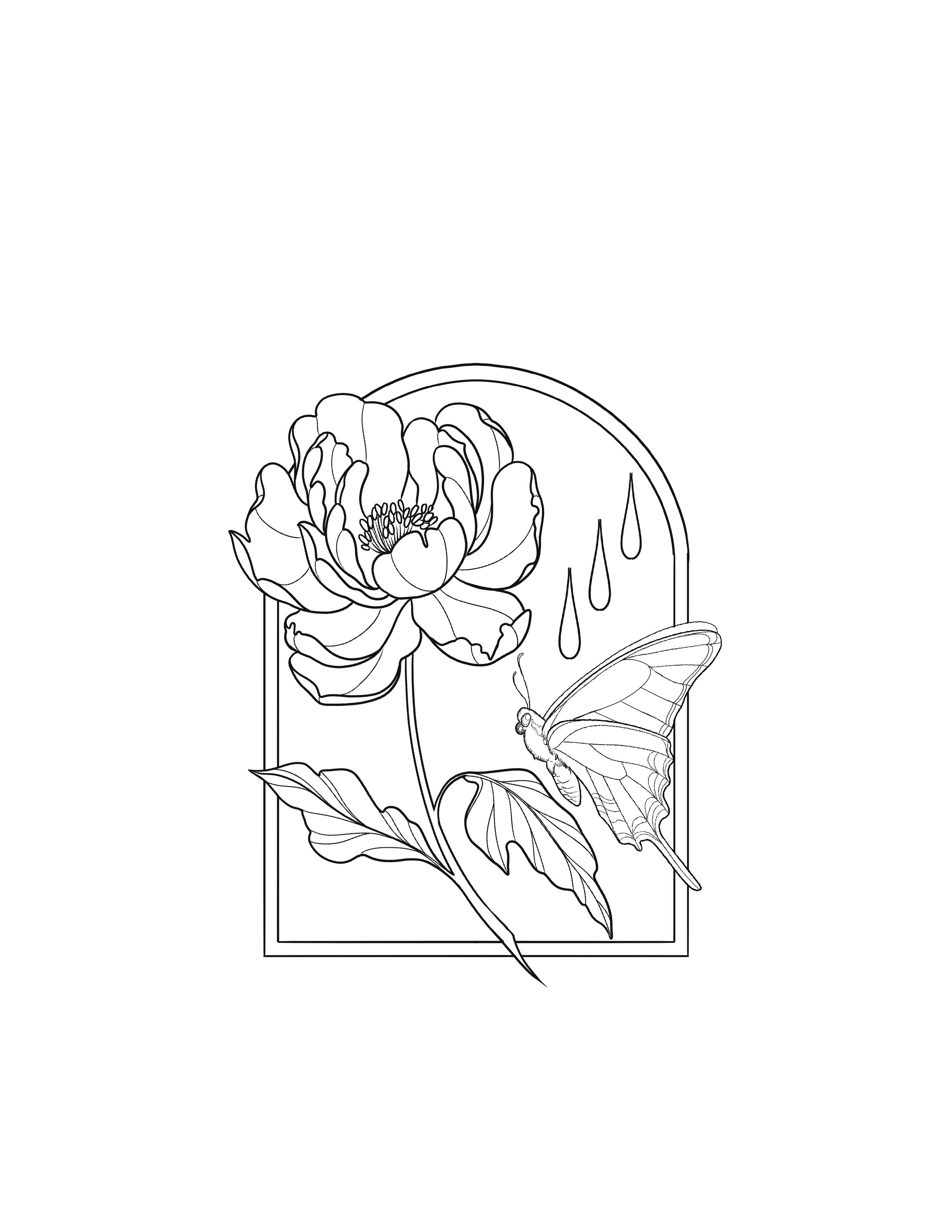 Butterfly Vignette