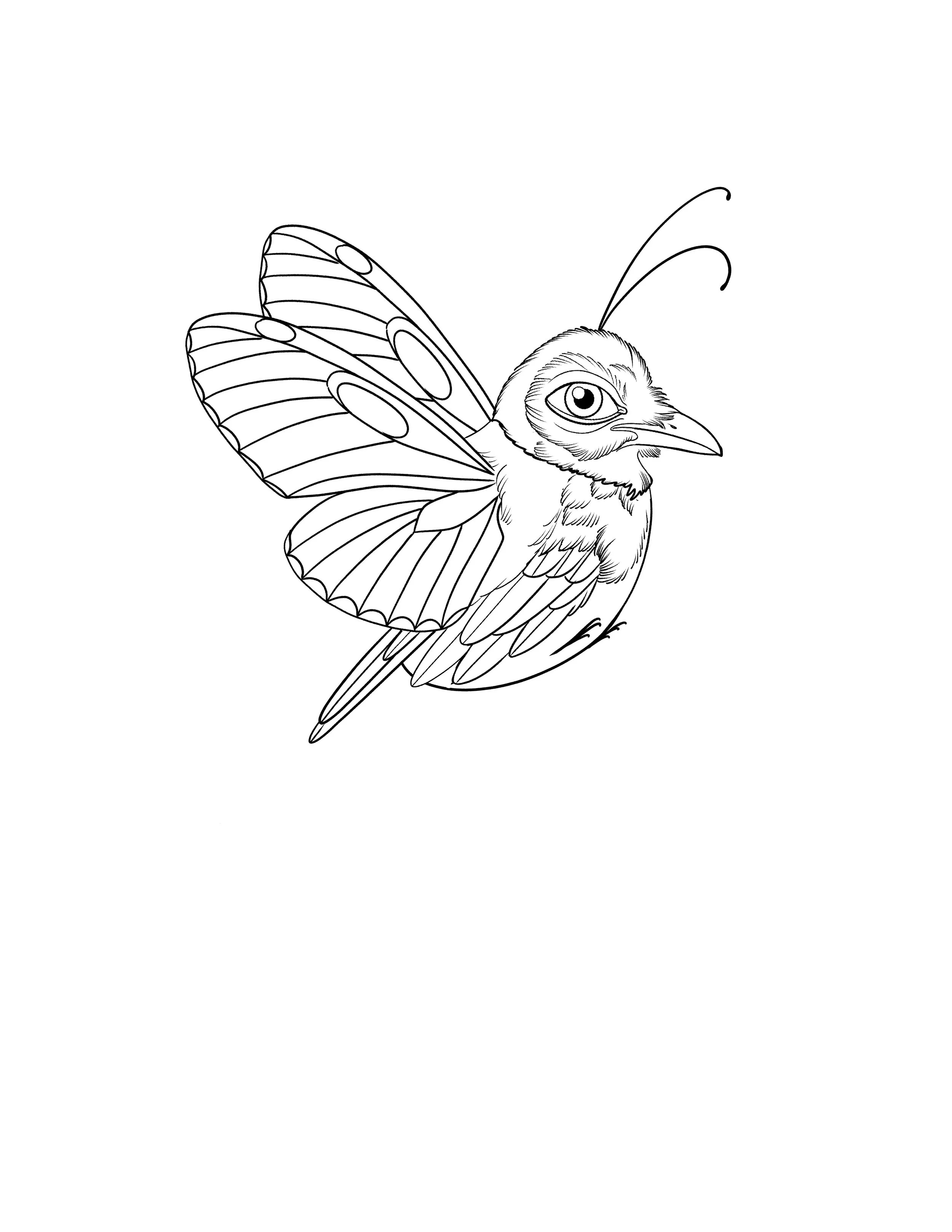 Weird Bug