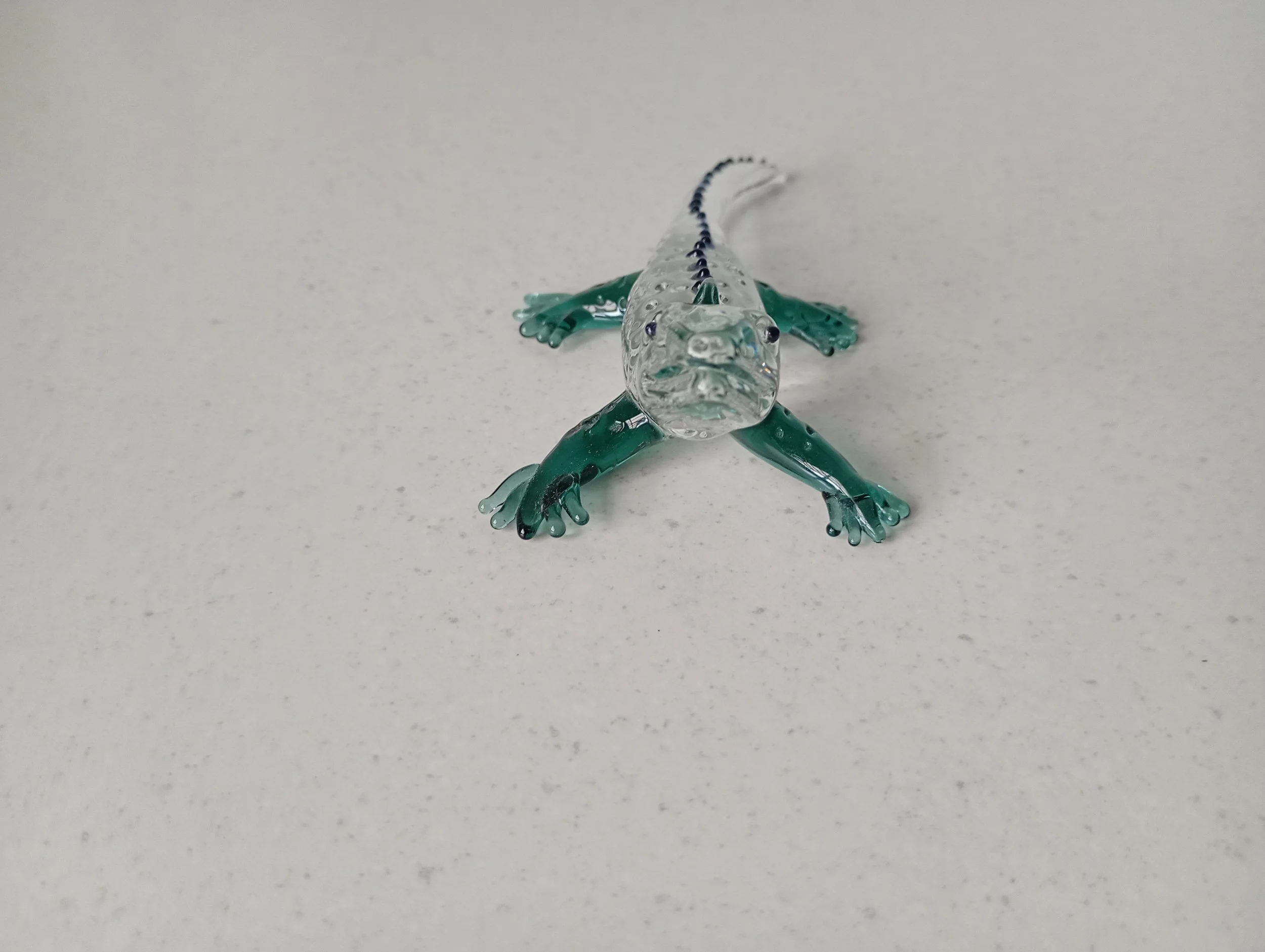 IMG_20260924_081312872_MFNR.jpg