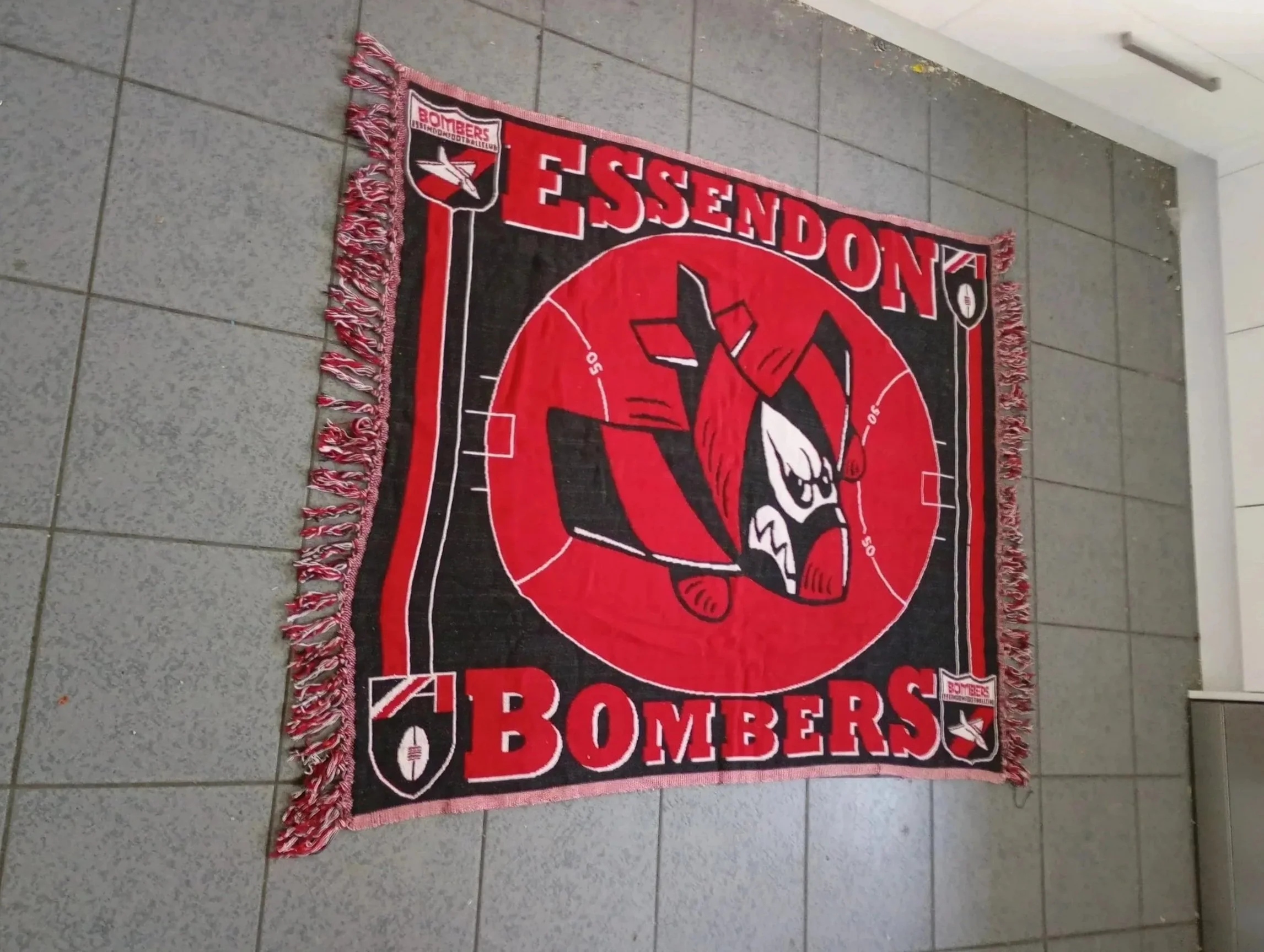 IMG_20261007_100144193_MFNR.jpg