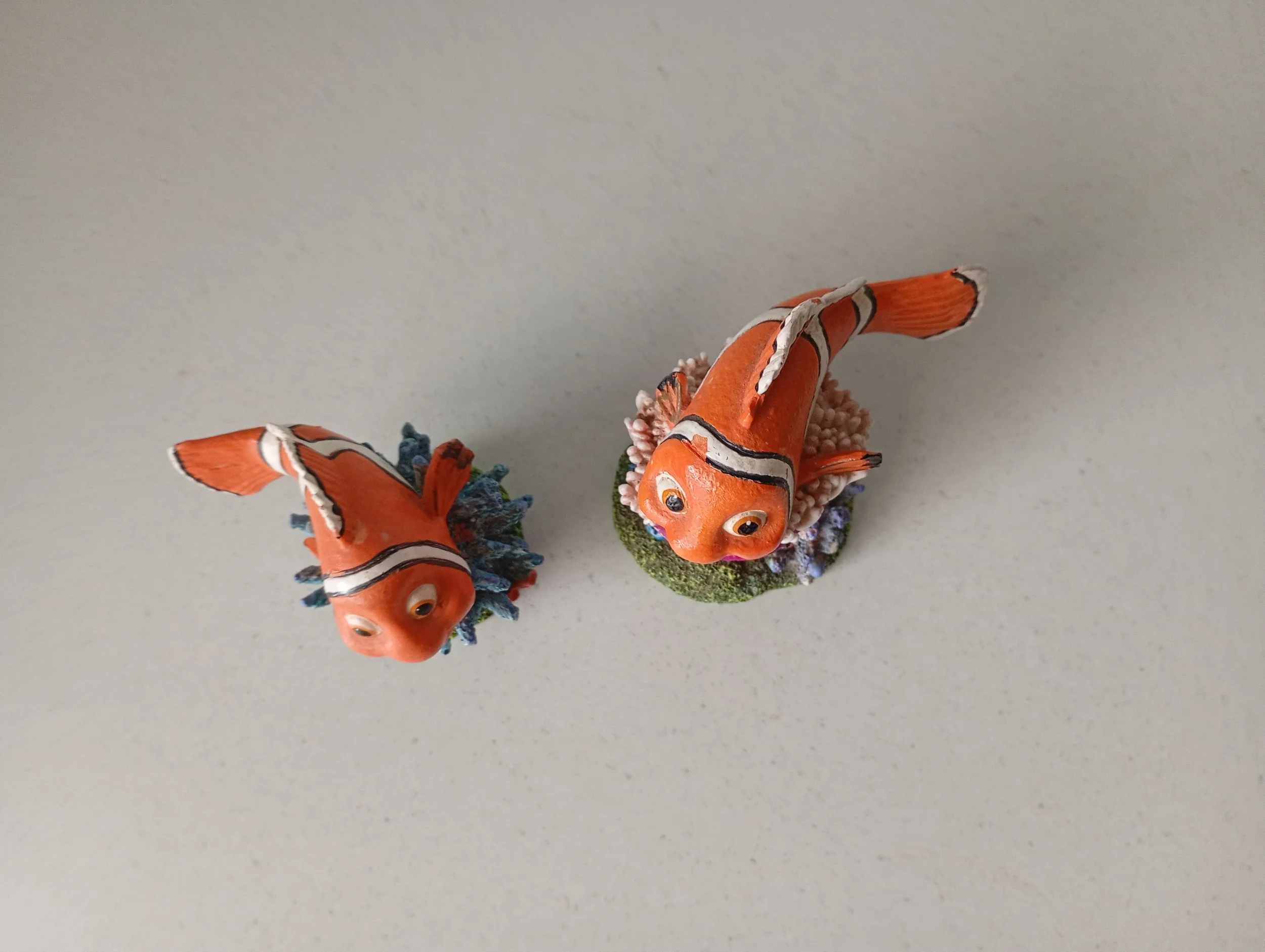 IMG_20260617_093227795_MFNR.jpg