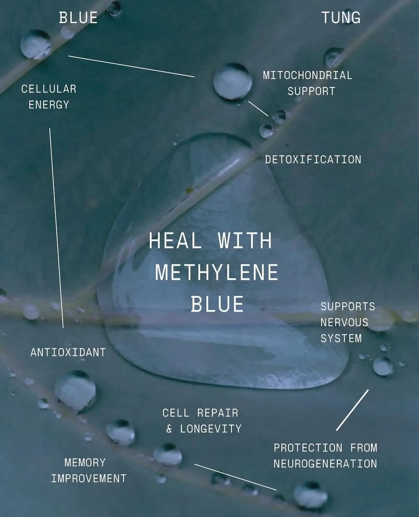 Methylene Blue &mdash; your sidekick for the festive season.
 Known for supporting cellular energy and mental clarity, it gives you a clean boost when life gets busy and your to-do list gets long.

@bluetung.co Methylene Blue is part of our exclusive