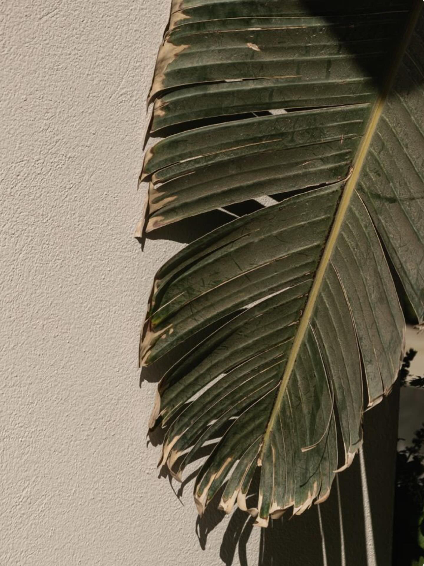 After a few short days off to welcome the new year, VTMN is back! 

2026 is all about intentional wellness. This year isn&rsquo;t about adding more to your health checklist, it&rsquo;s about doing less, but better, and focusing on the rituals that tr