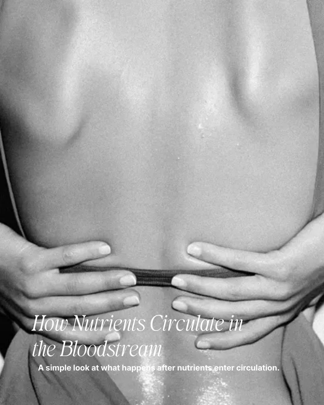 Ever wondered what actually happens after your IV finishes?

Once those vitamins enter your bloodstream, they&rsquo;re immediately available to your cells. Unlike oral supplements, IV nutrients bypass the gut and digestion, allowing for higher absorp