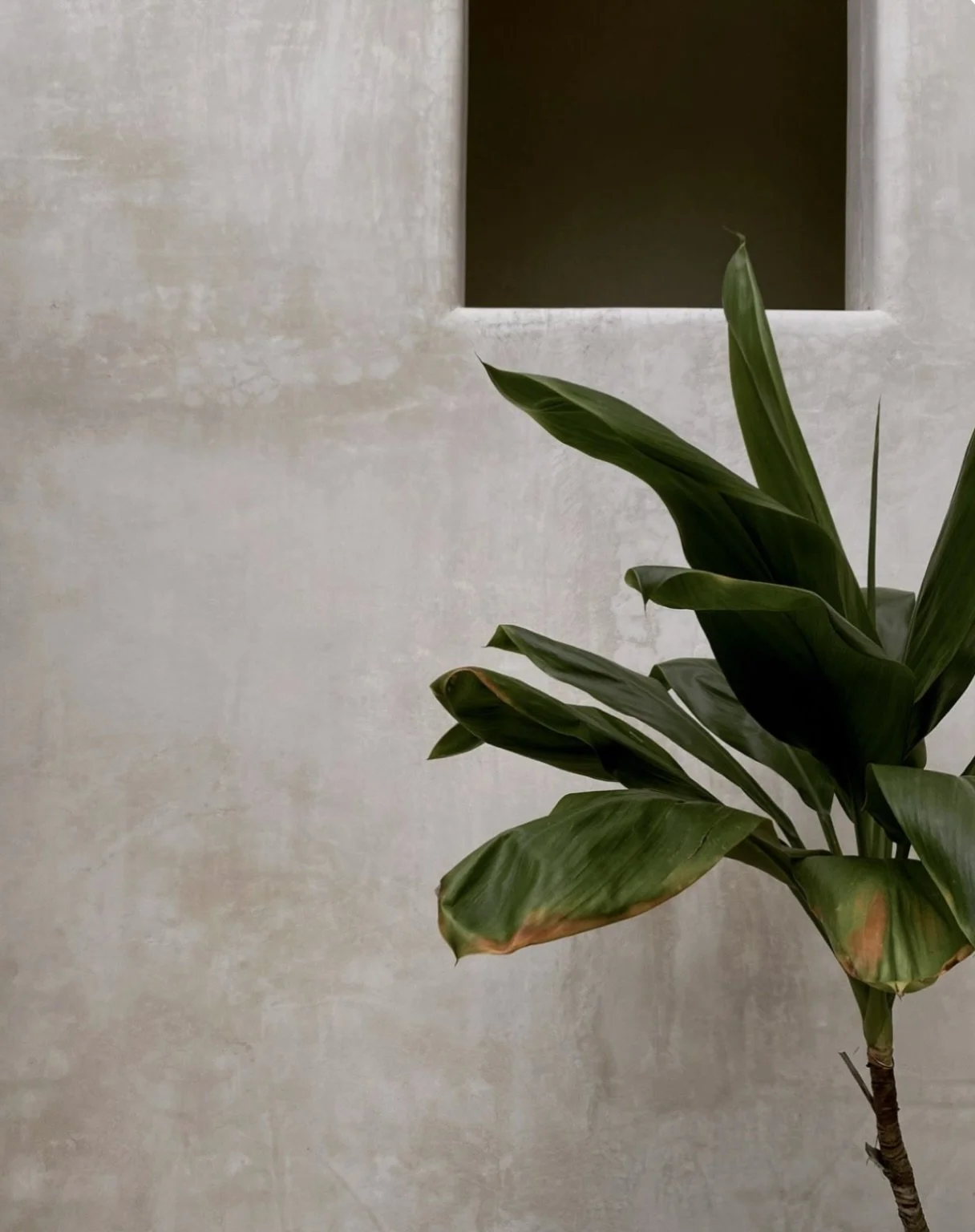 Your environment matters.
The spaces we spend our time in influence how we feel, move and switch off.

At VTMN, we think about the whole experience. Not just what goes into the body, but what surrounds it too.