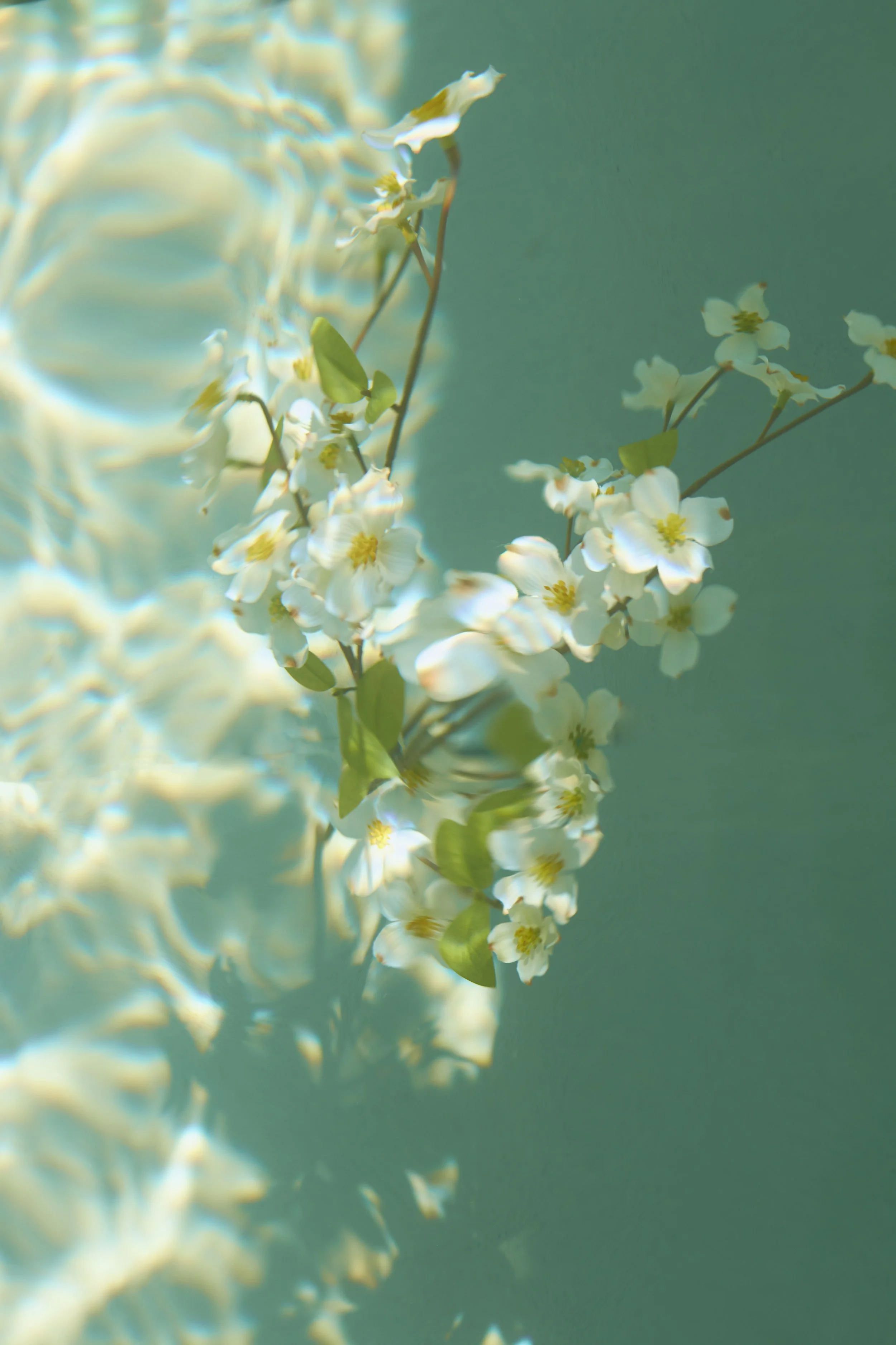 IMG_0934 (totebag).jpg