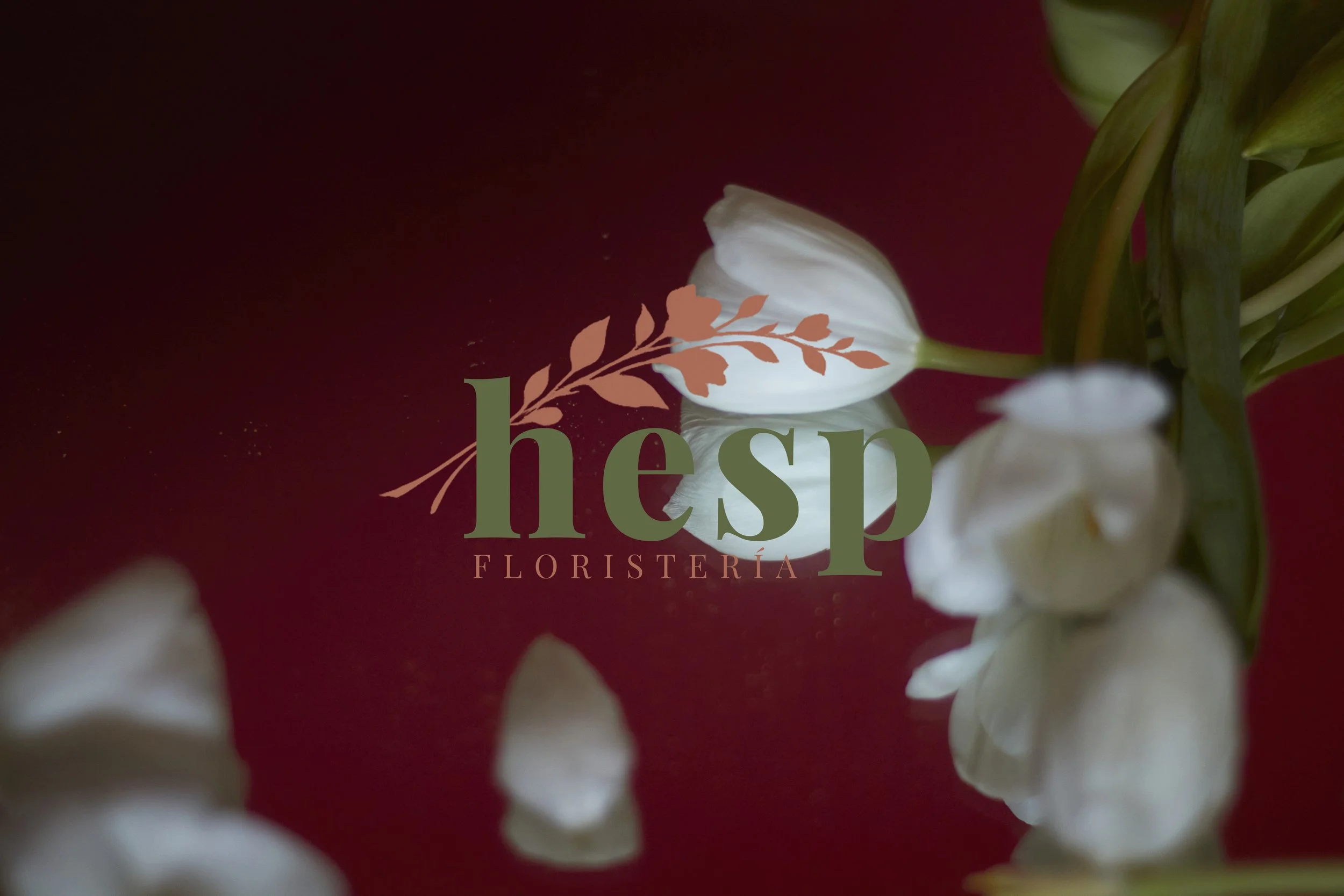 HESP_logo_presentación_01.jpg