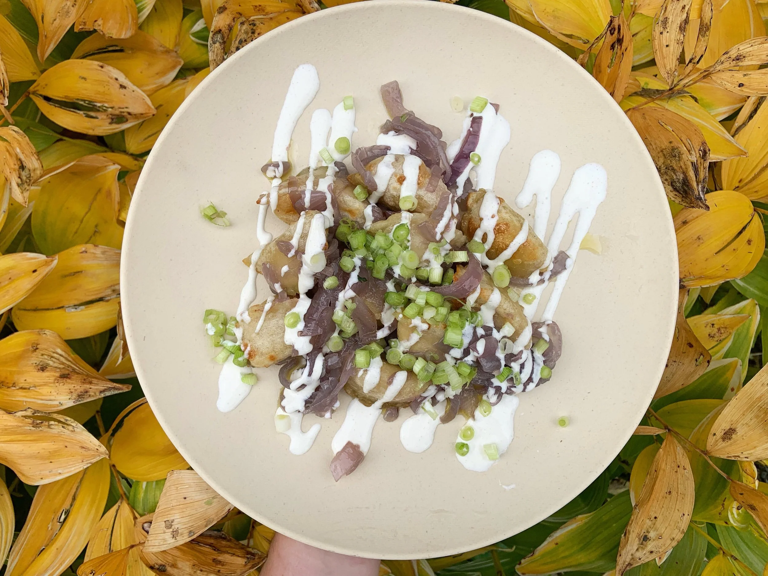 Potato Pierogis with Caramelized Red Onion