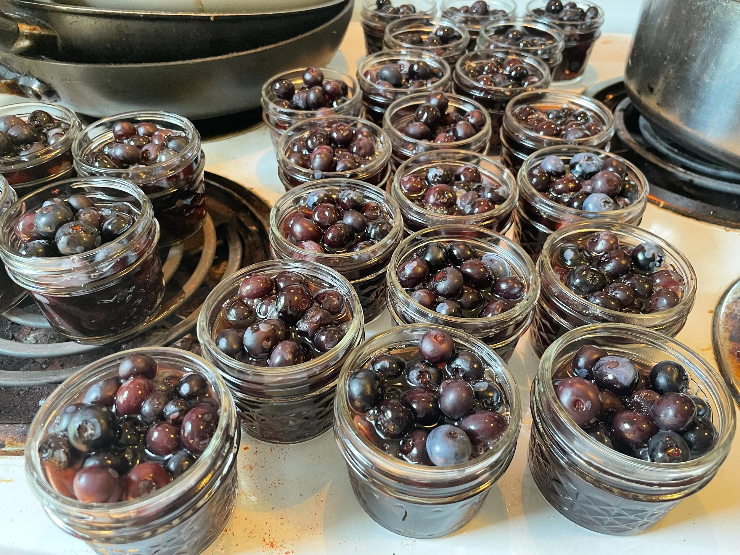 Pickled Blueberries