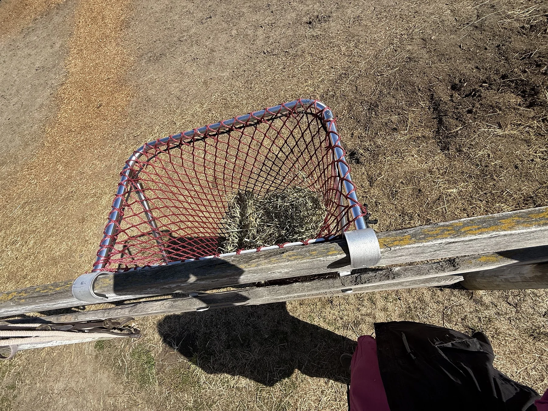 haypal-bale-sized-portable-slow-feeder-1.jpg