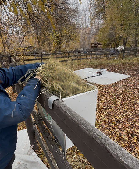 HayBox-auto-feeder-loading-hay-2.png