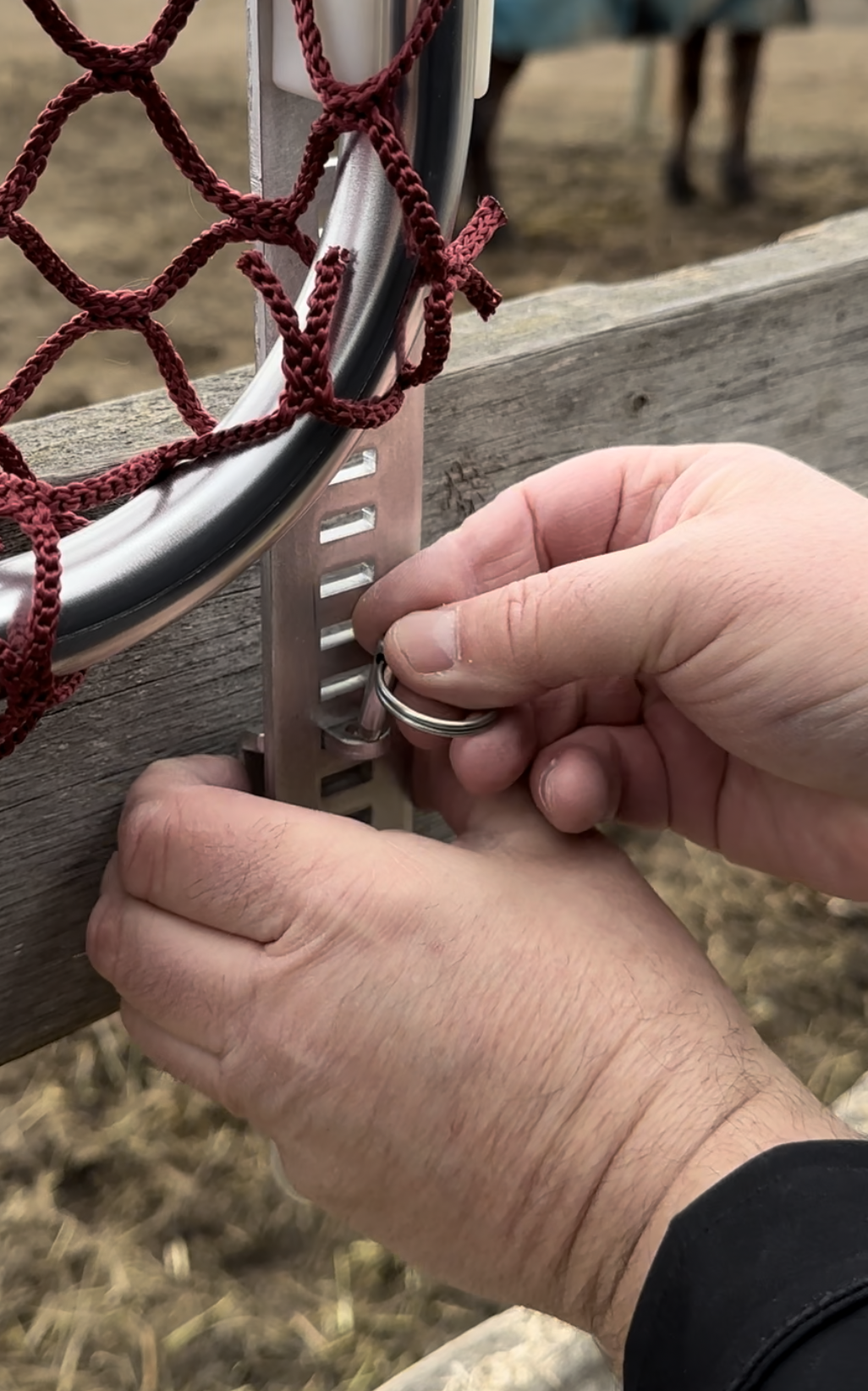 HayPal-Portable-FenceTop-Feeder-pinning-hook-into-place.jpg