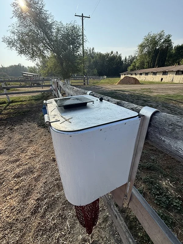 HayBox-Auto-Slow-Feeder-top-angle.jpg