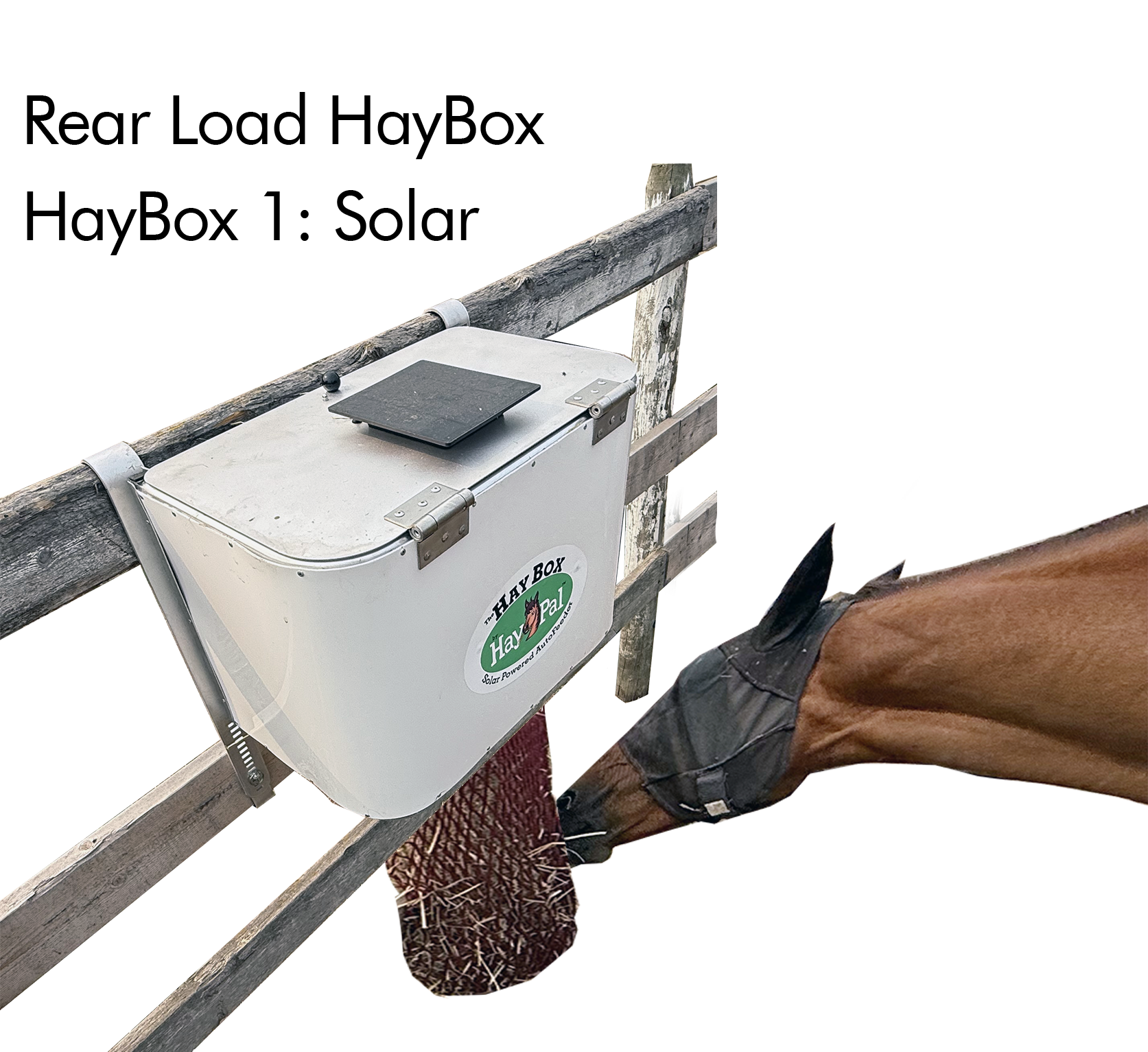 HayBox1-Solar-Rear-Load-auto-feeder-inside-of-horse-fence.png