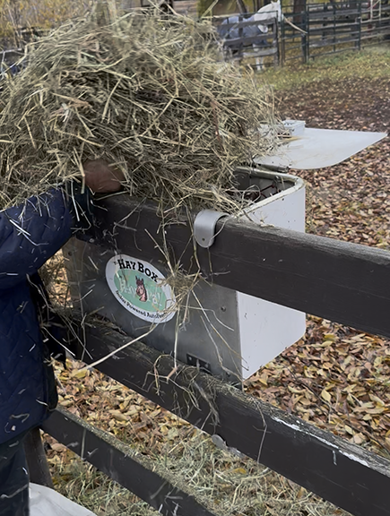 HayBox-auto-feeder-loading-hay.png