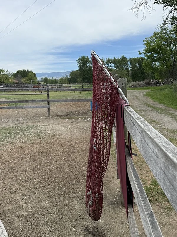 HayPal-Fence-Top-Feeder-knotless-hay-net-feeder.jpg