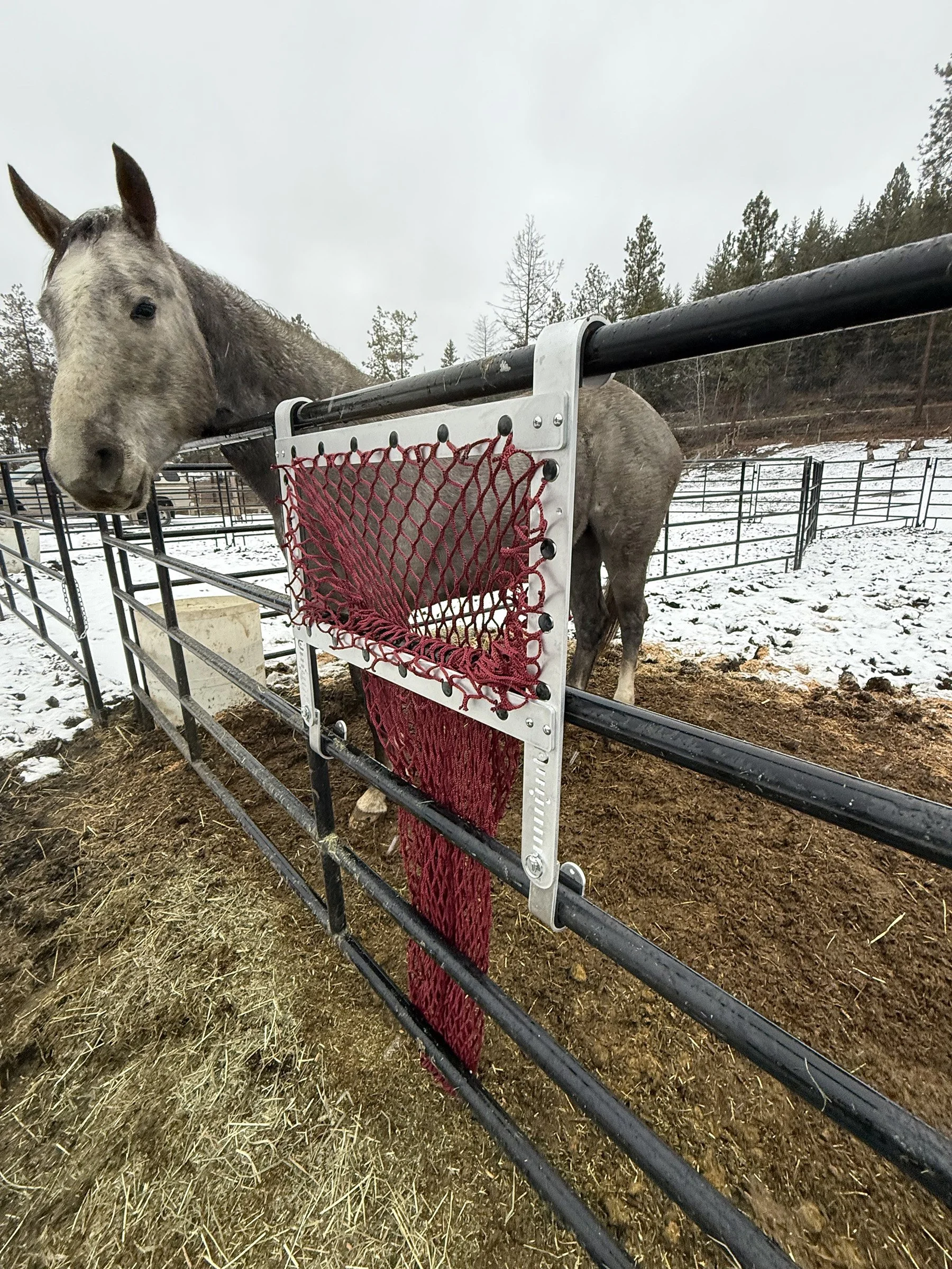 HayPal-Fence-Feeder-Portable-on-metal-panel-fence.jpg