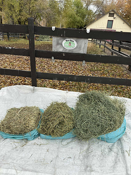 10-pounds-of-3 types of hay-HayBox-by-HayPal.png