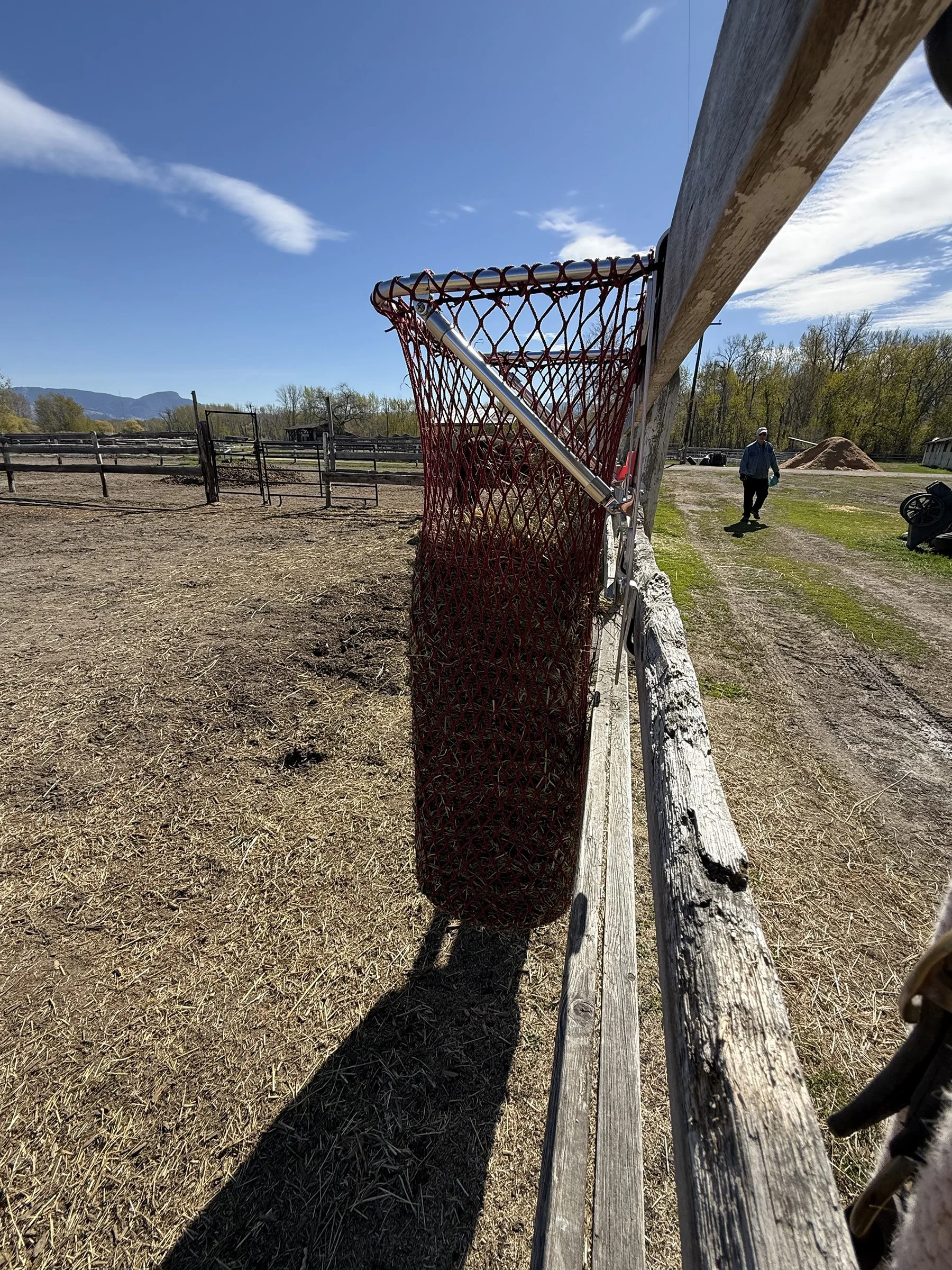 haypal-bale-sized-portable-slow-feeder-3.jpg