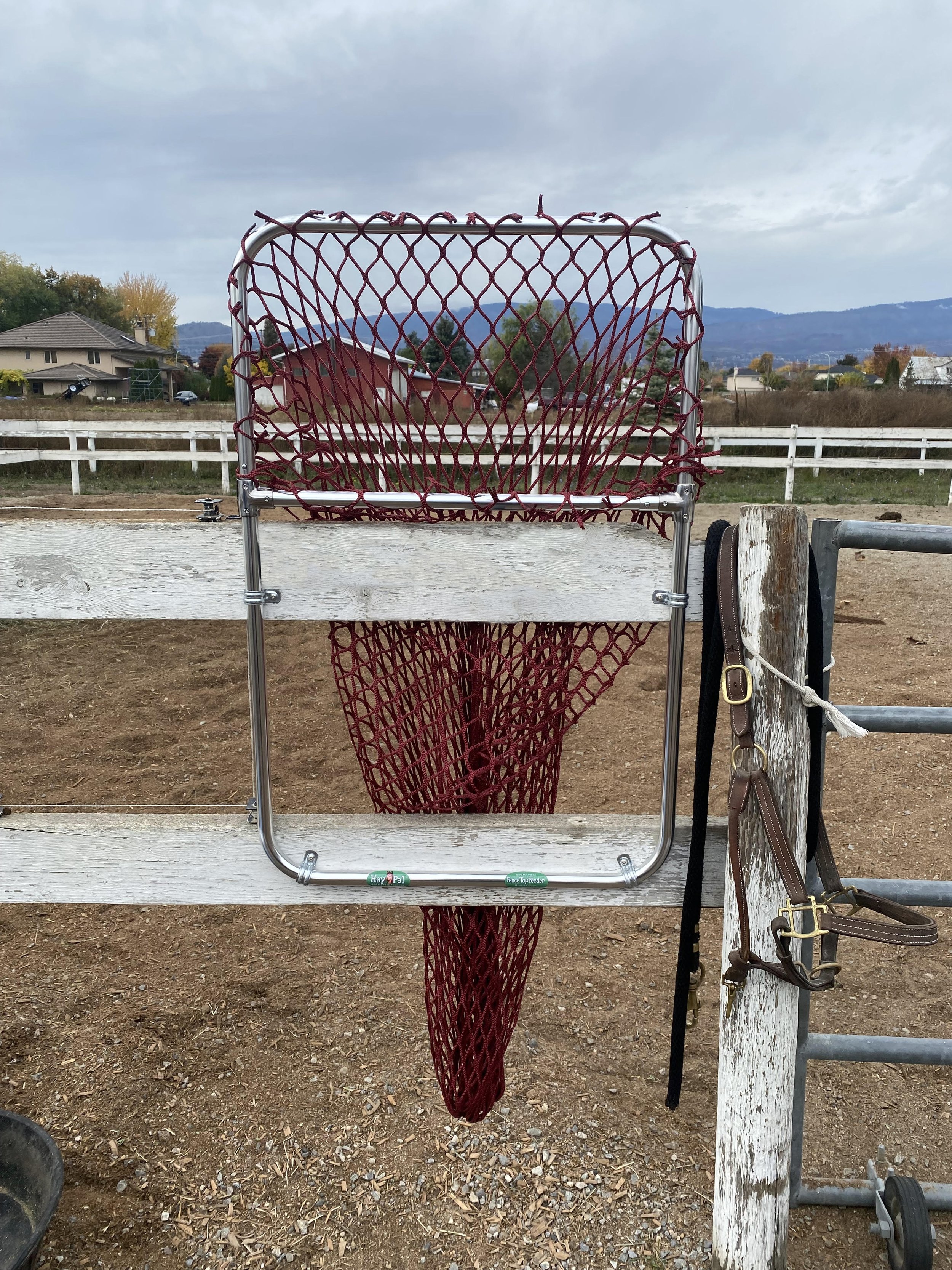 FenceTopFeeder-Oct-2023-HayPal.jpg
