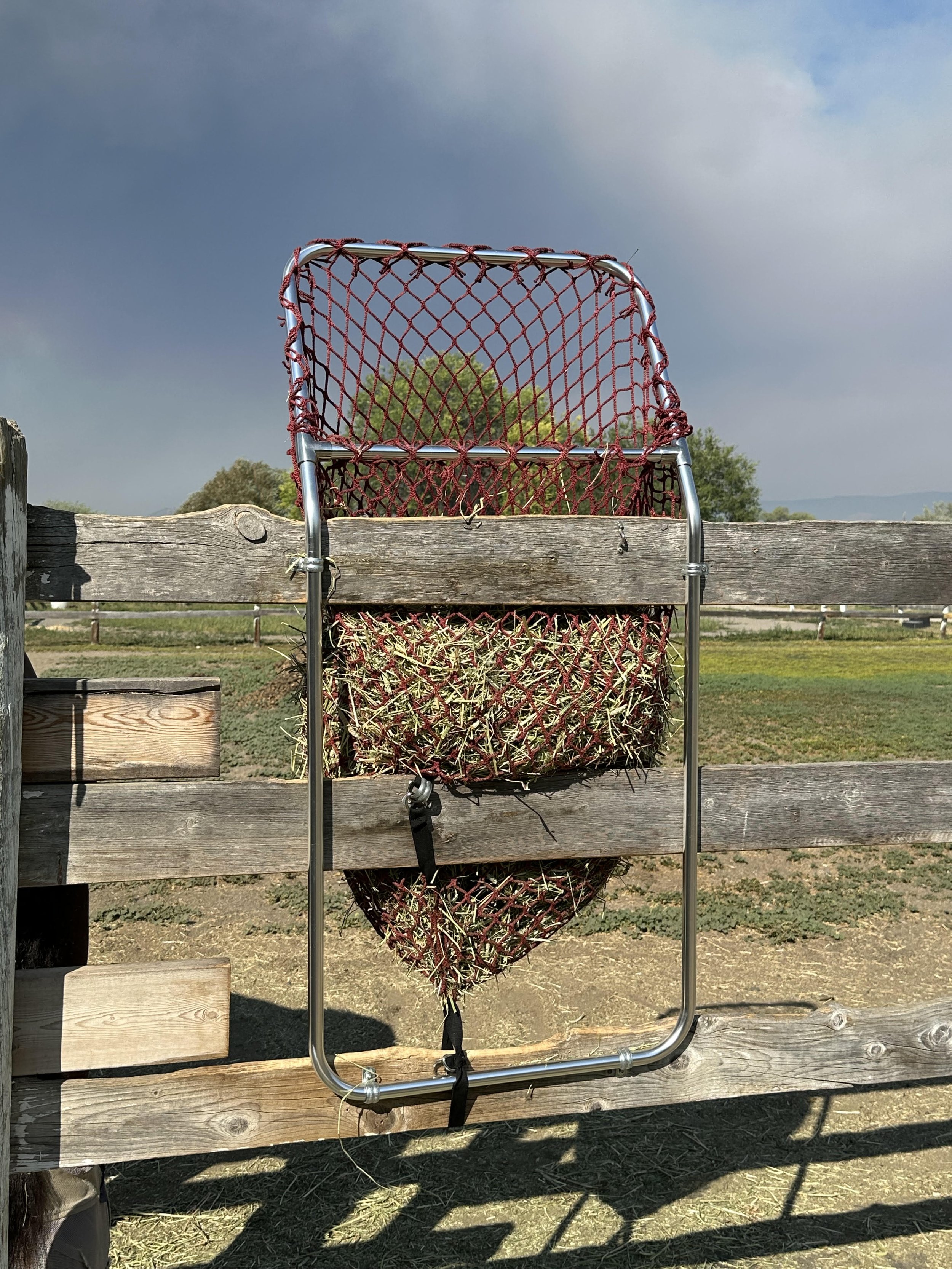 Fence-Top-Feeder-angled.jpg