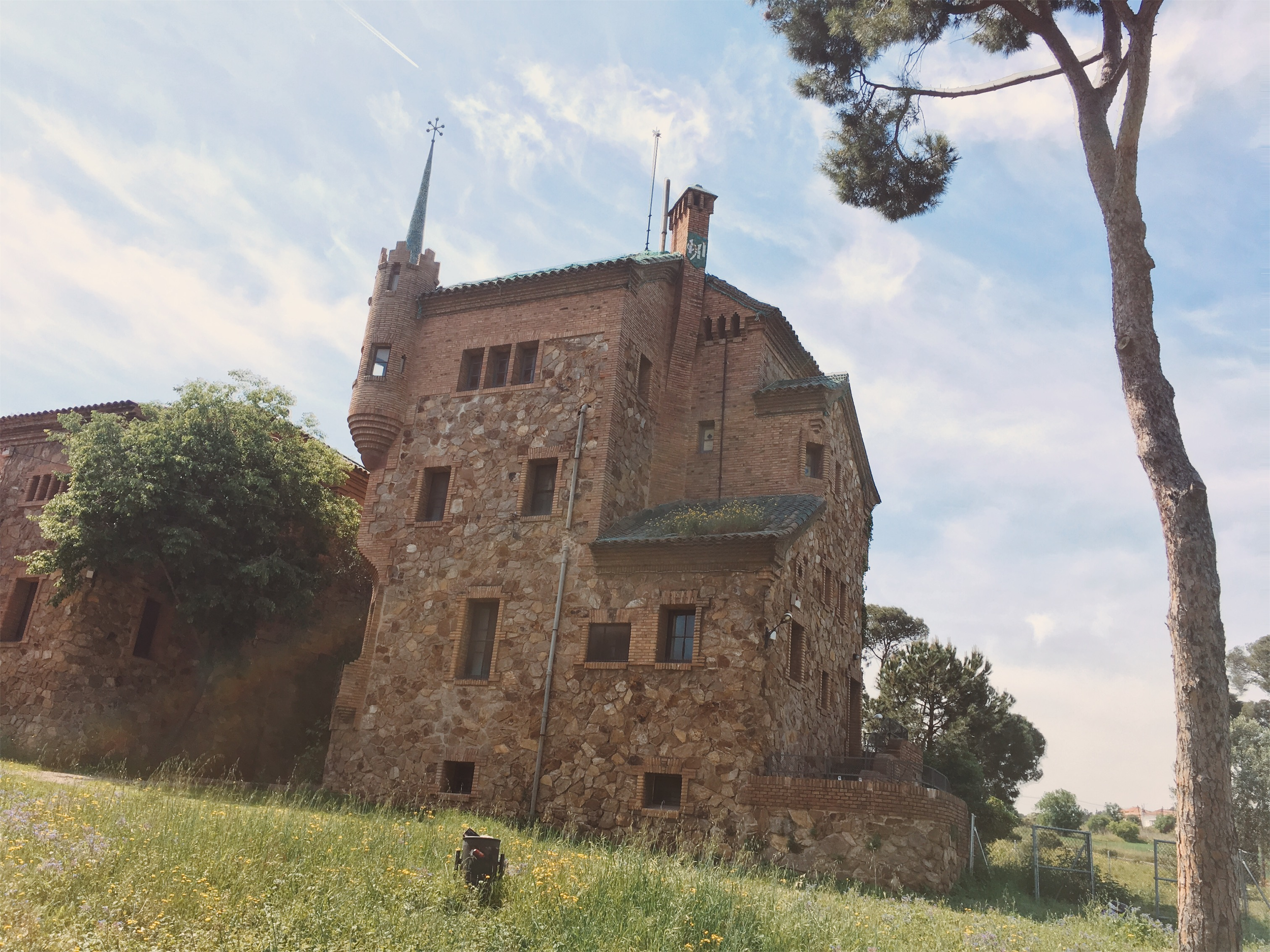 gaudi 5.png