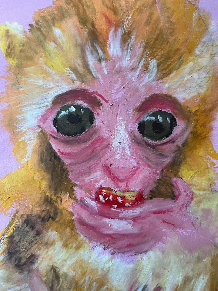 Monkey face close up.jpg