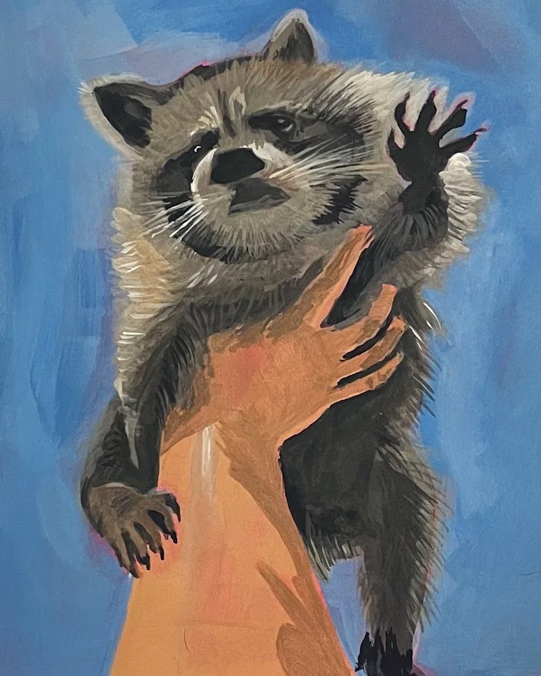 Raccoon.jpg
