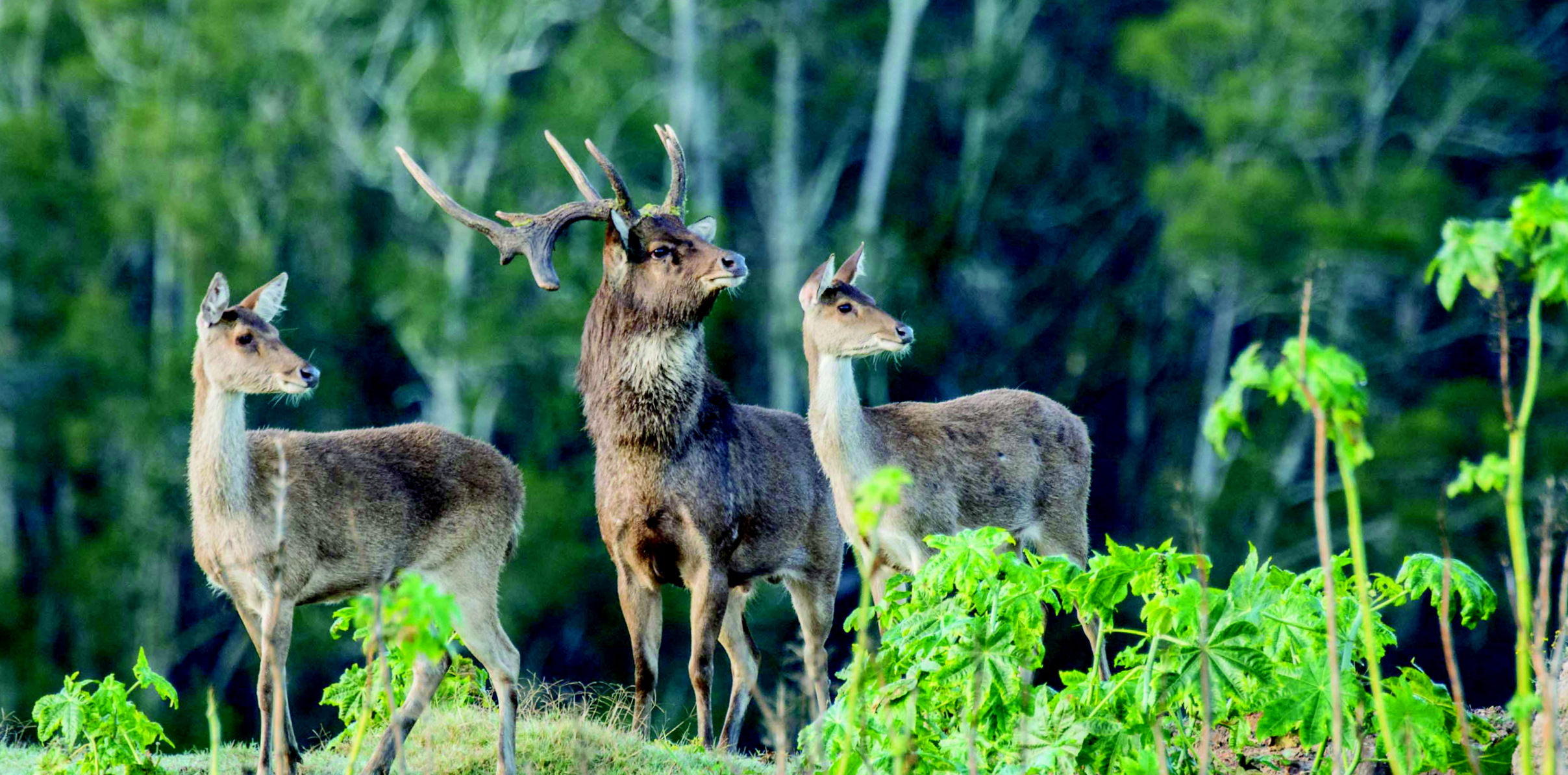 Landholder responsibility