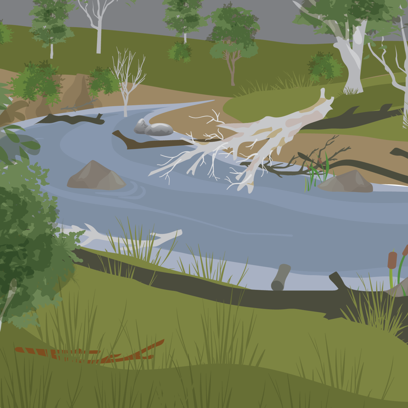 NSW Fisheries Infographics