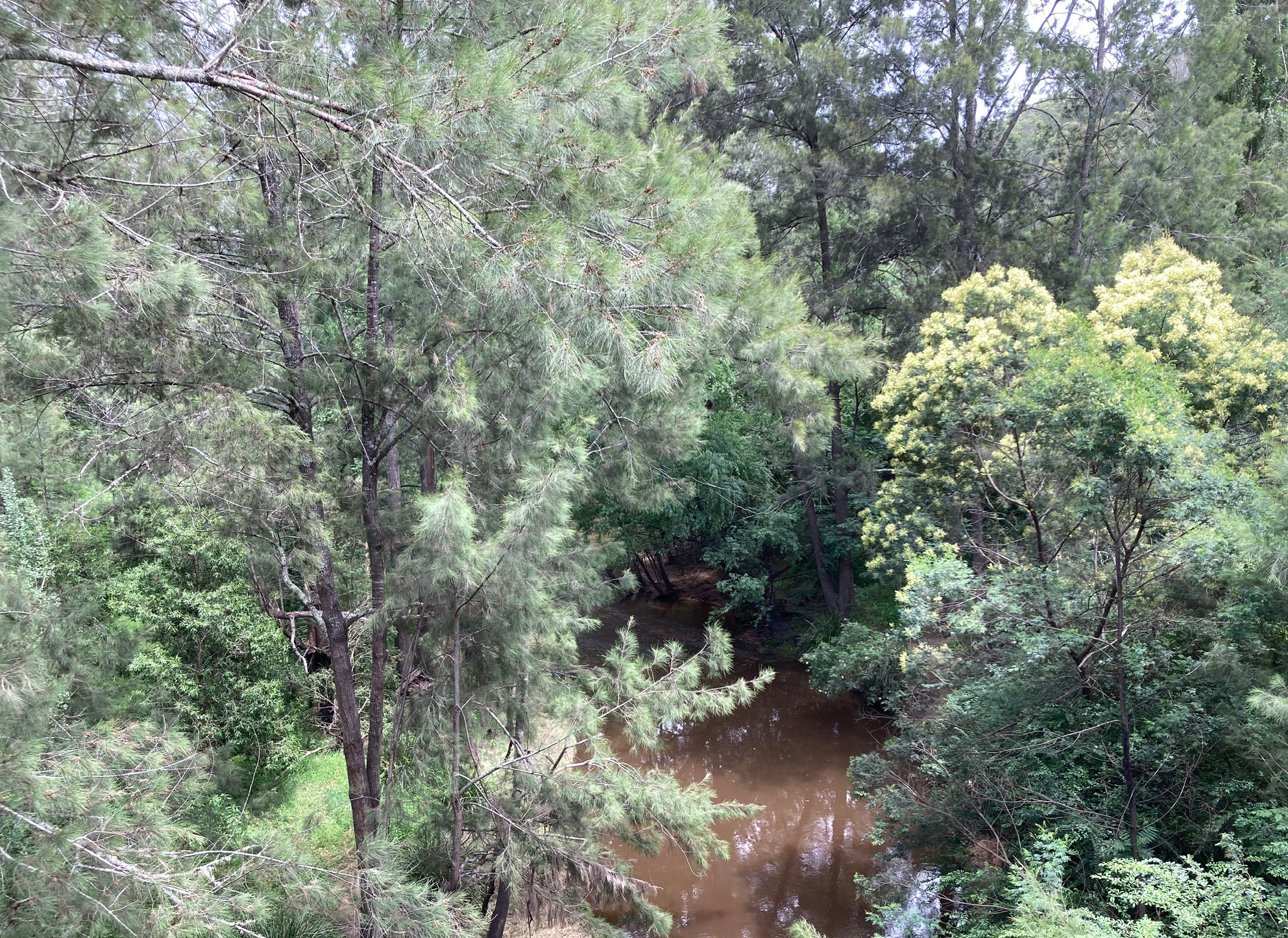 Wollombi Brook Catchment Riparian Guide
