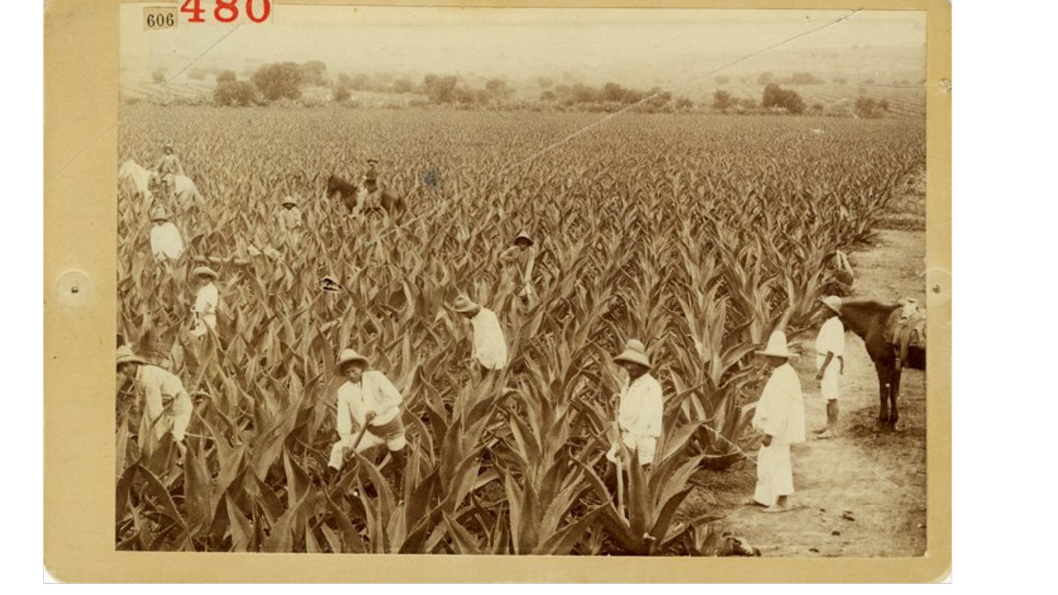 Apan Valley History — Apan Paisaje y Resilencia