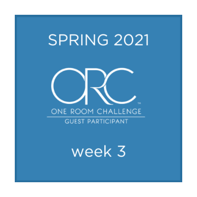 Spring 2021 Guest Participants - Week 3