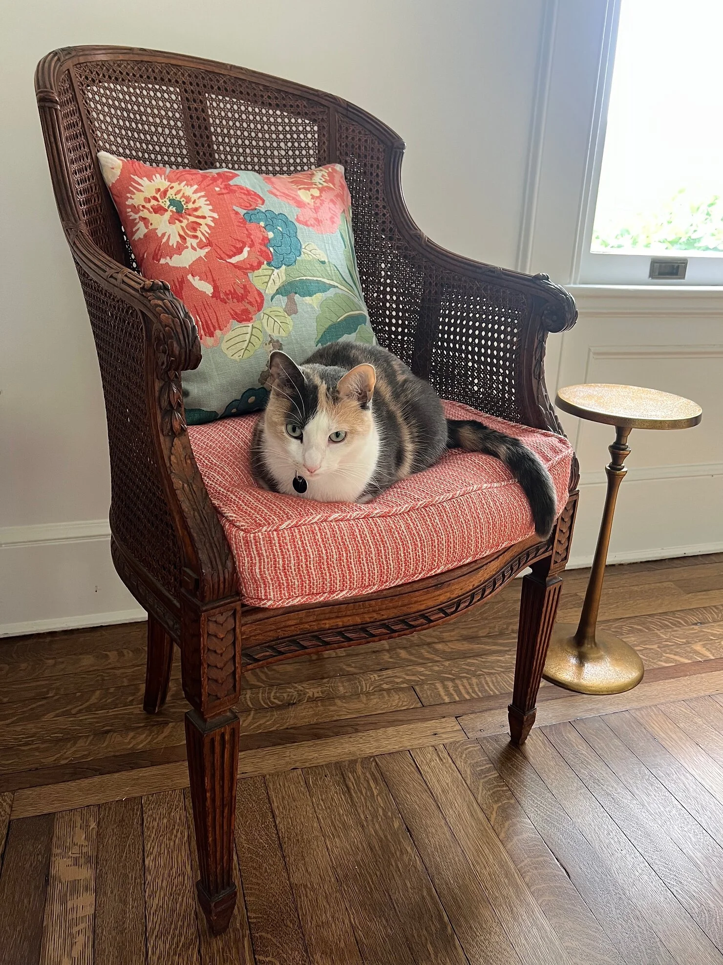 brielle-interiors-green-and-white-home-office-studio-space-cat.jpg