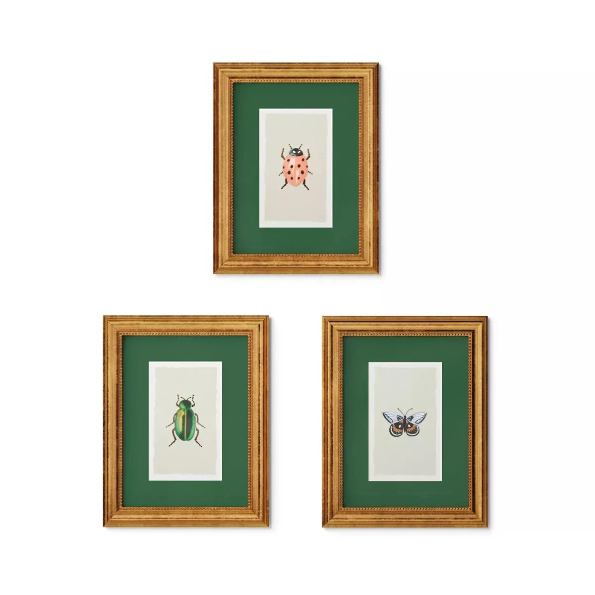 Rifle Paper Co. x Target 11"x14" Gold Foil Insect Framed Wall Art Prints Set of 3